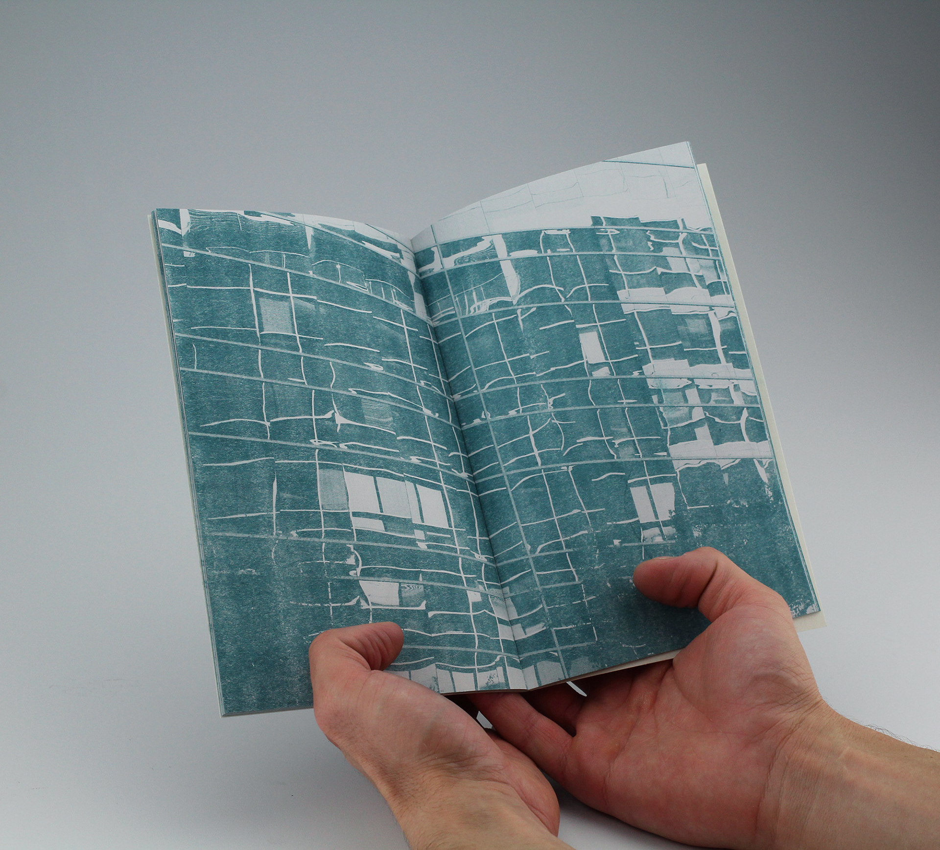 "Terra Incognita: Field Notes II," Riso book, 8.5 x 5.5 in., 2017