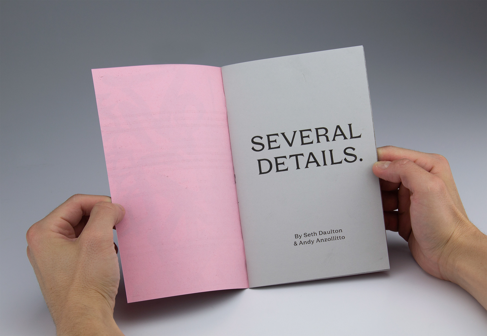 "SEVERAL DETAILS.," Riso book, 8.25 x 5.25 in., 2020