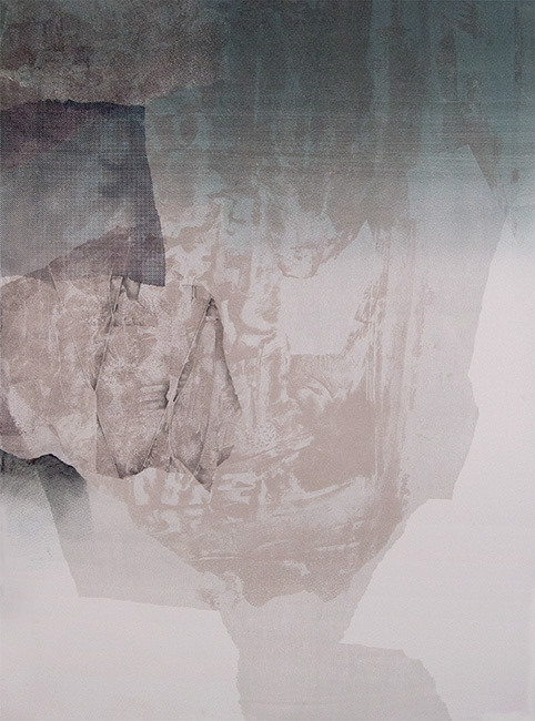 "Site IV," Lithography, paper lithography, woodcut, silkscreen, monotype, colored pencil, and graphite, 30 x 22 in., 2015