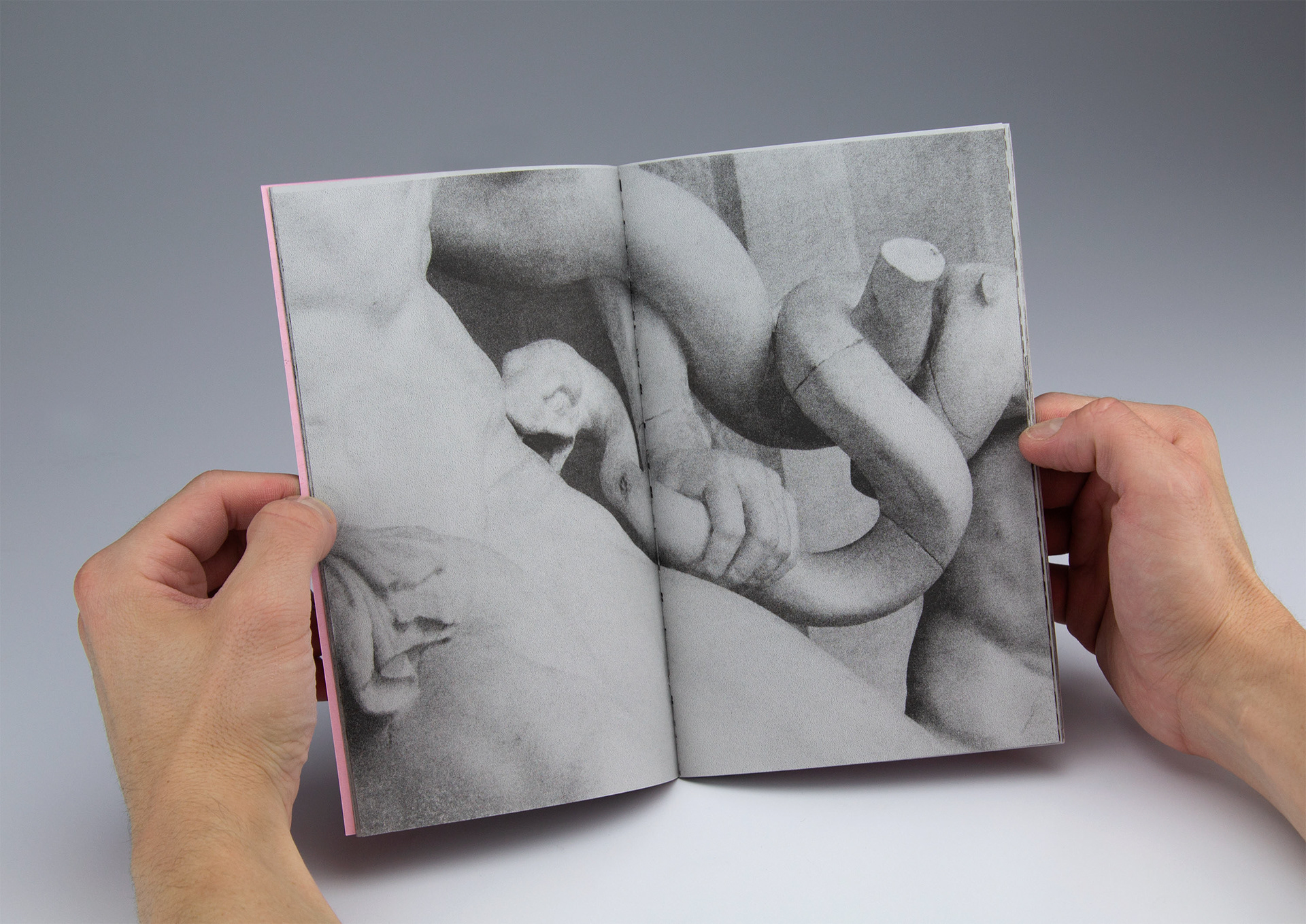 "SEVERAL DETAILS.," Riso book, 8.25 x 5.25 in., 2020