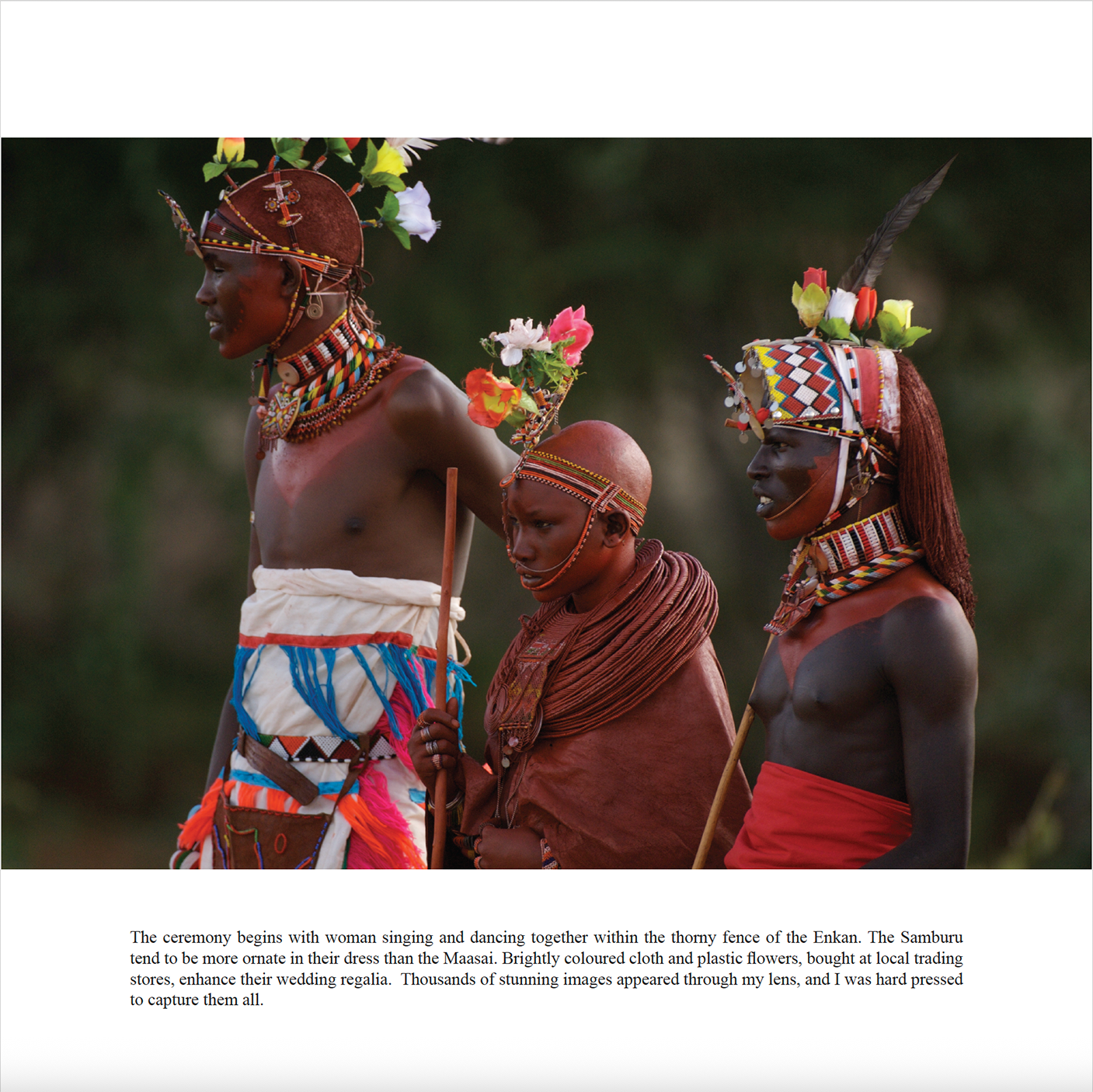 Samburu wedding ceremony, warriors in ceremonial headdress with floral decoration, Through Maasailand.
