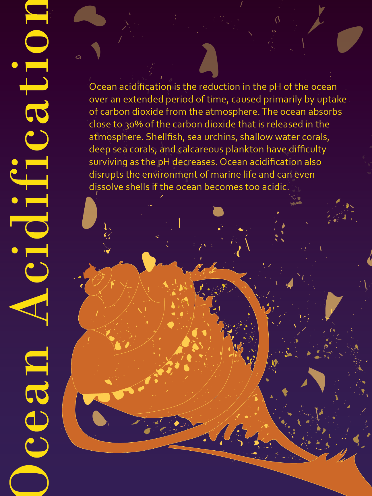 Ocean Acidification Informational Poster