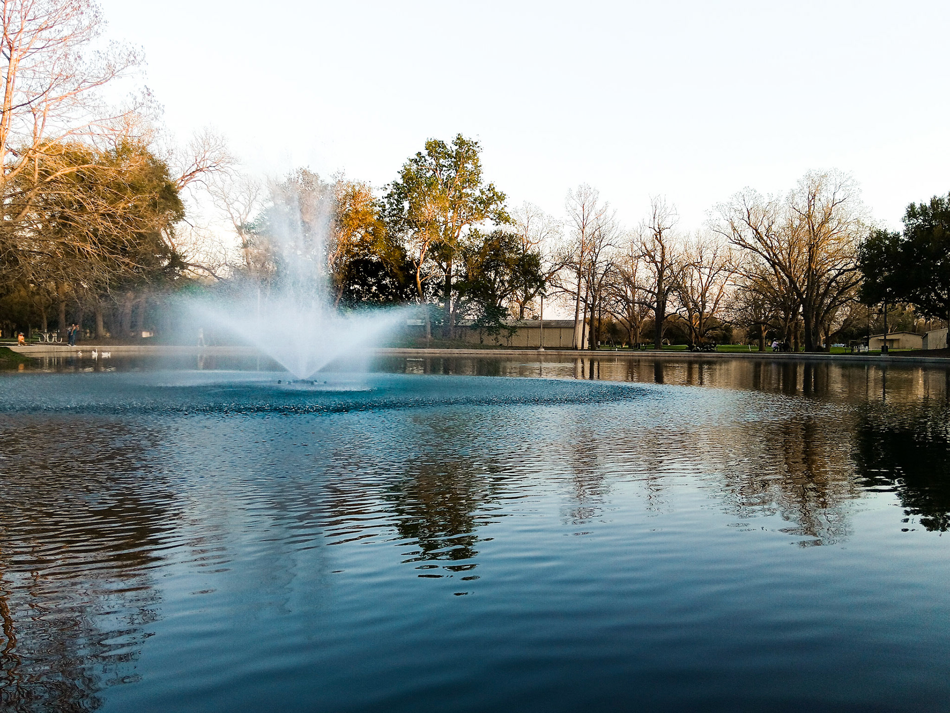 Duck pond in Riverside Park located in Victoria, TX