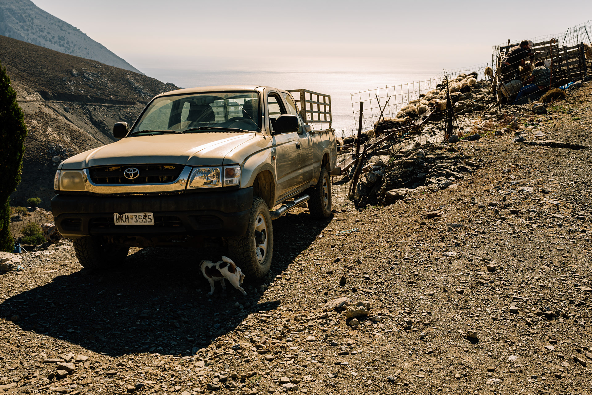 Asterousia Mtns Autumn 24