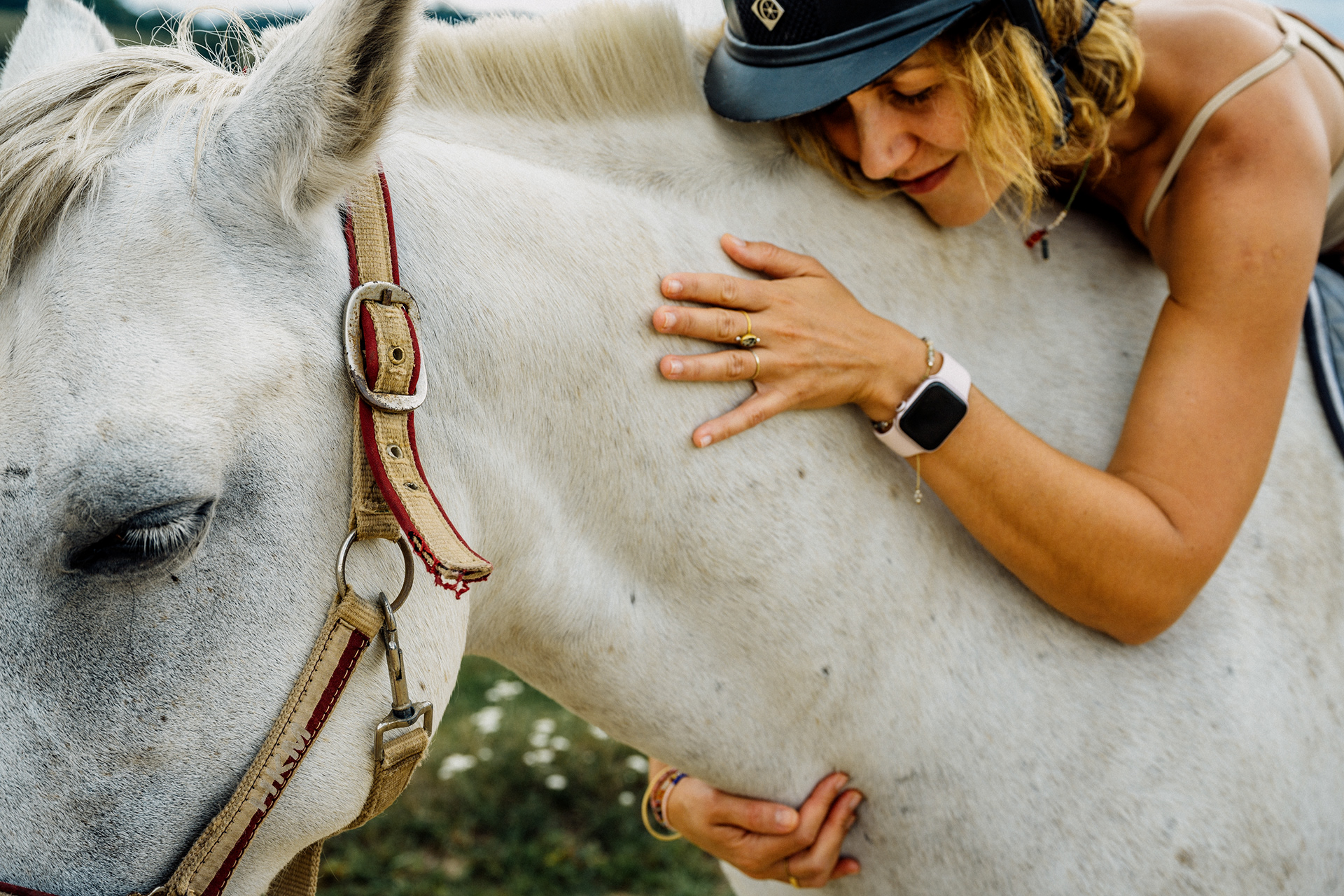 The Horse 012