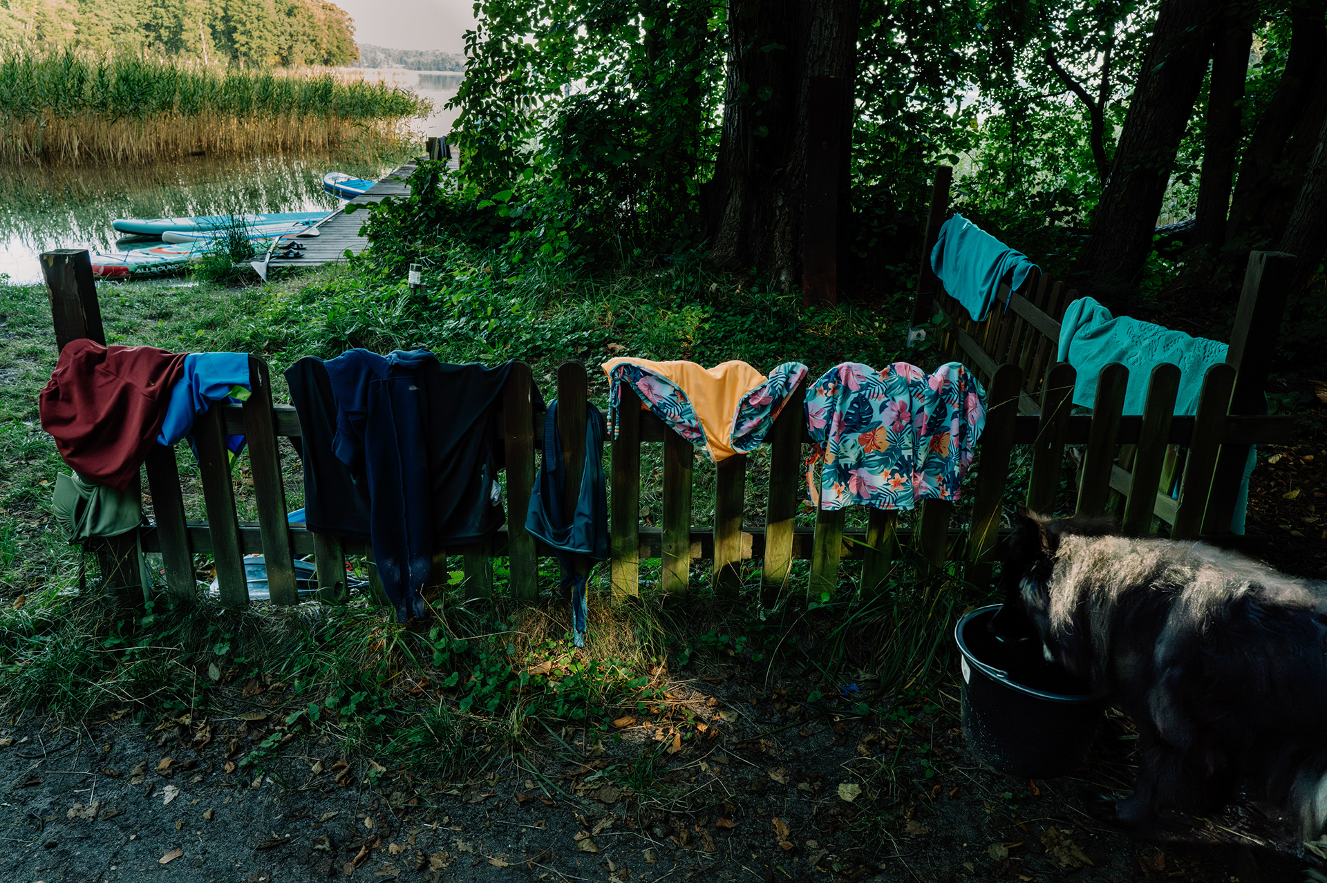 At the Lake II