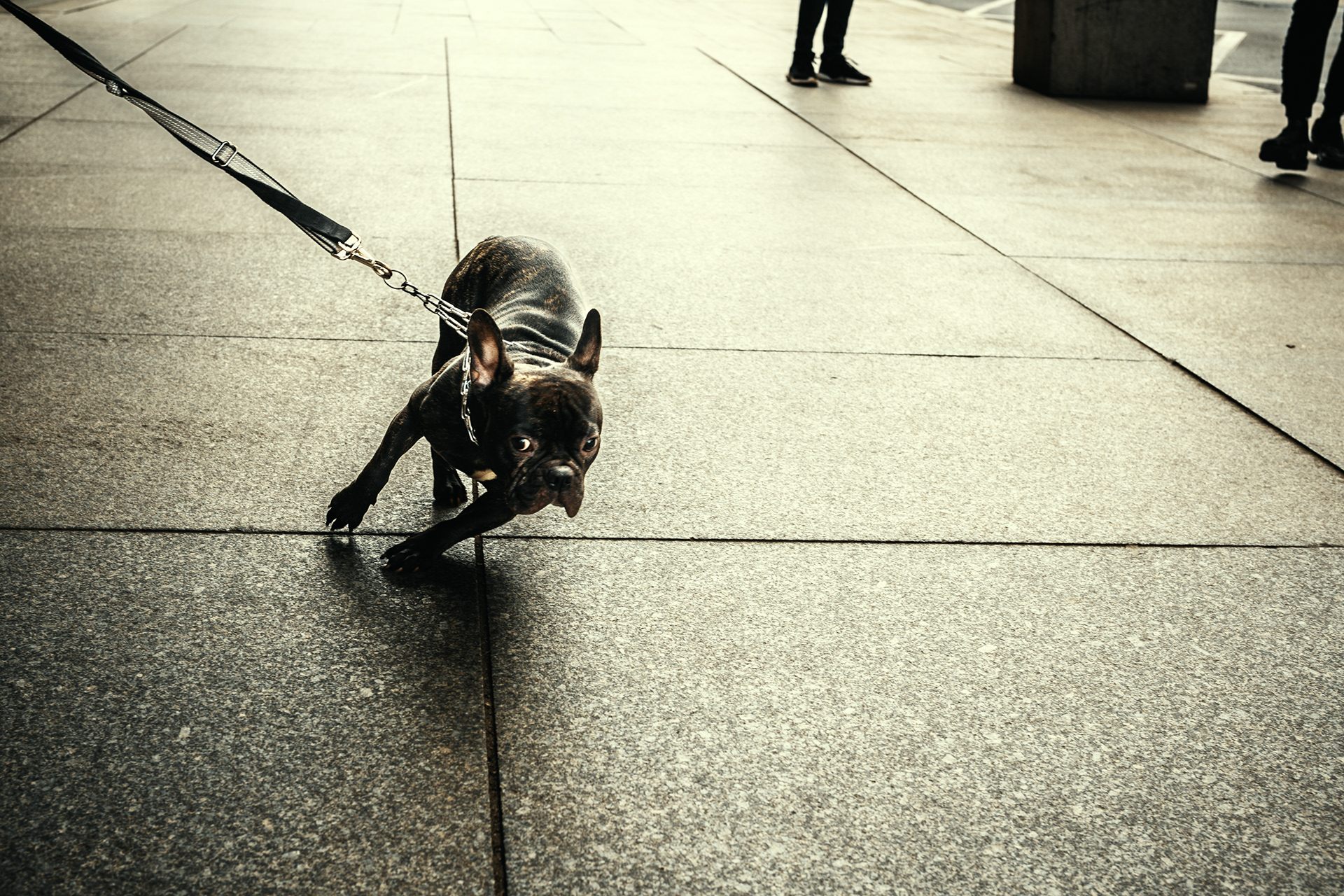 Street_2024 71