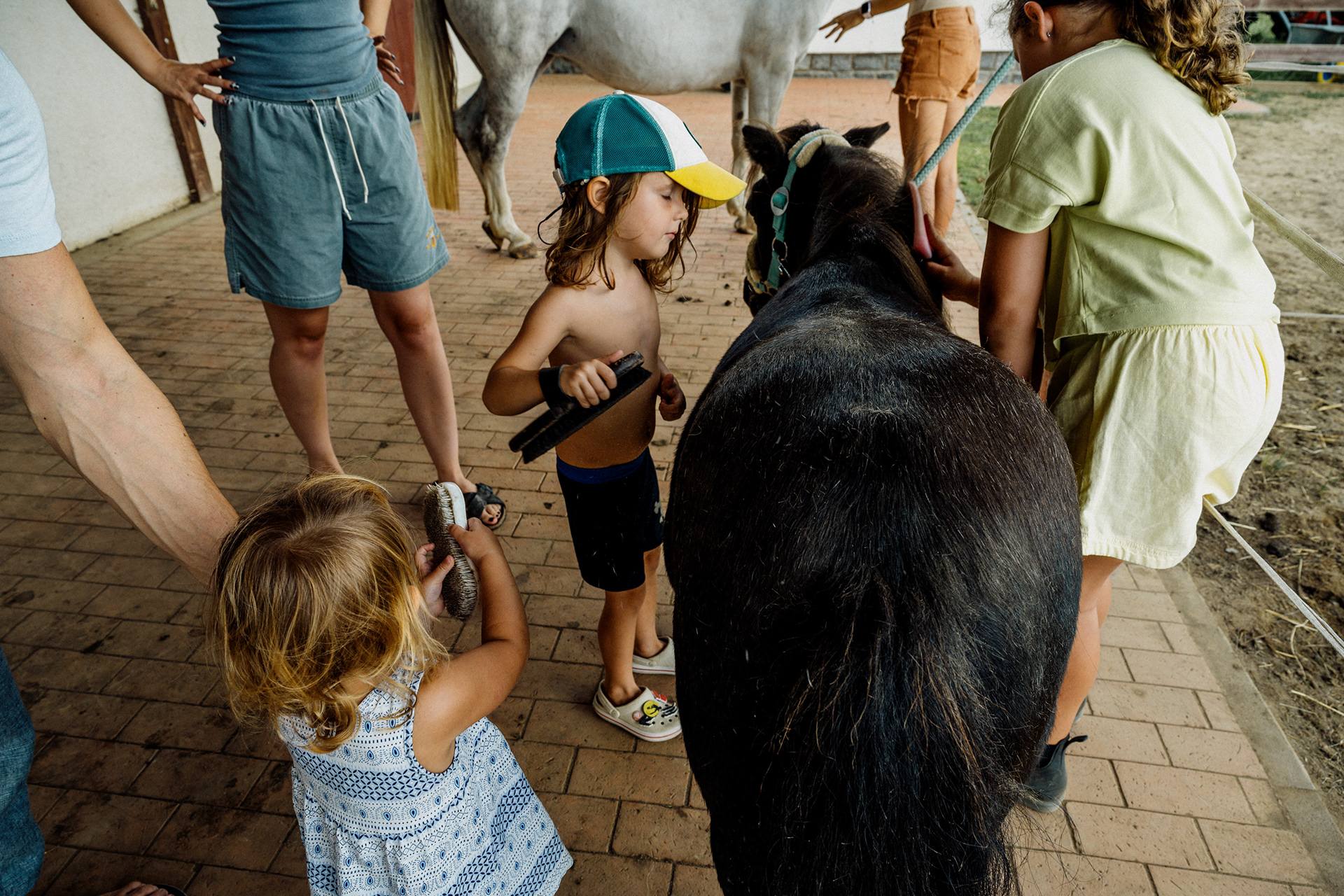 The Horse 008