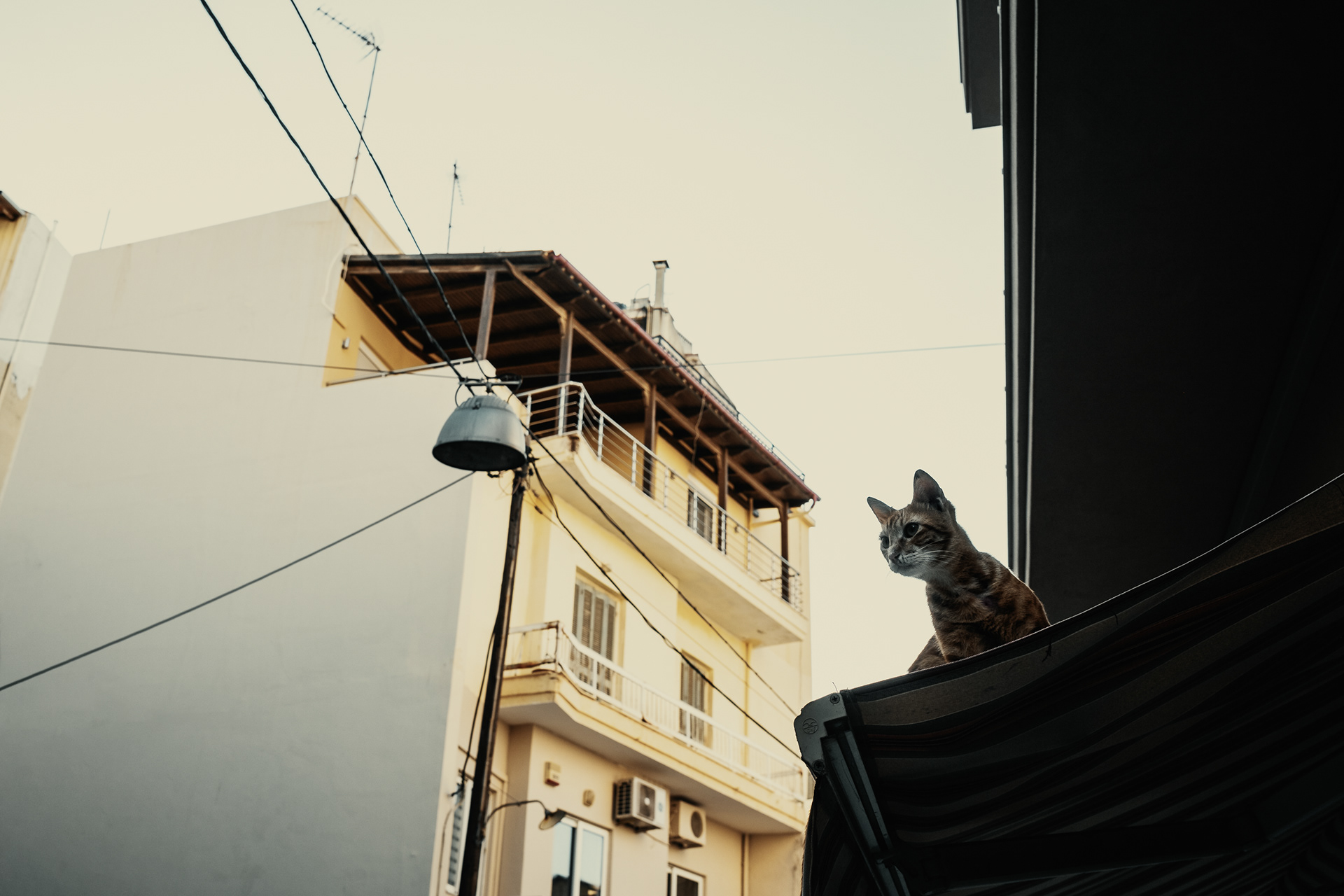 Street 23 27