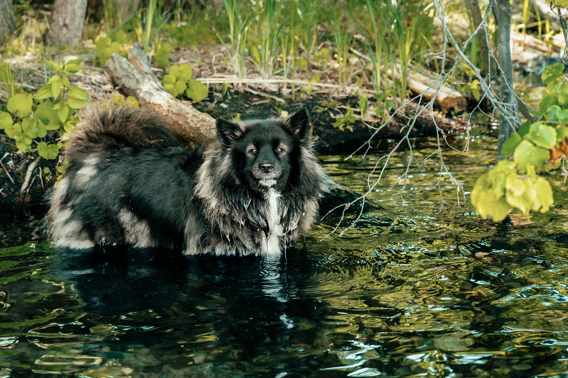 At the Lake 35