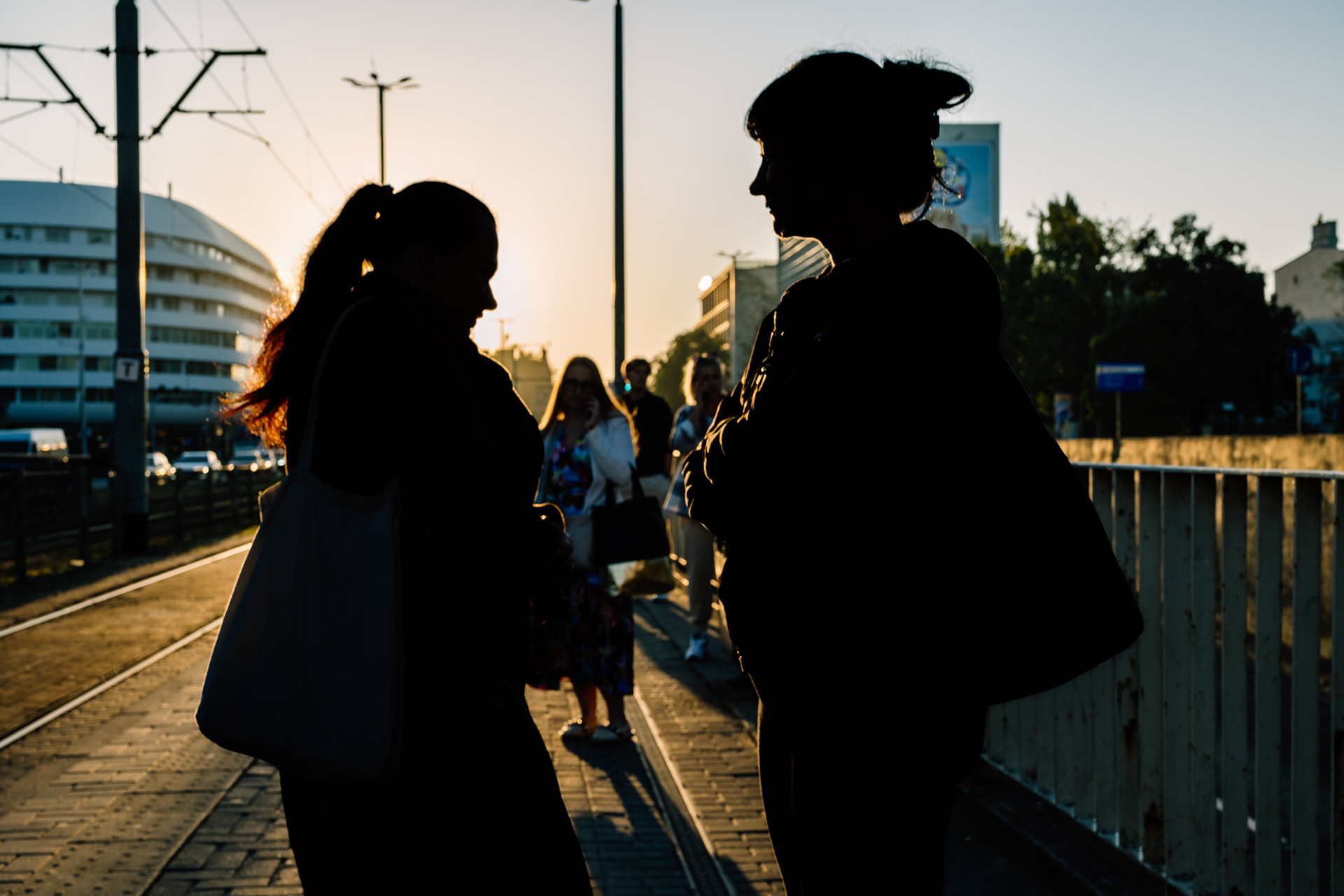 The Morning 015