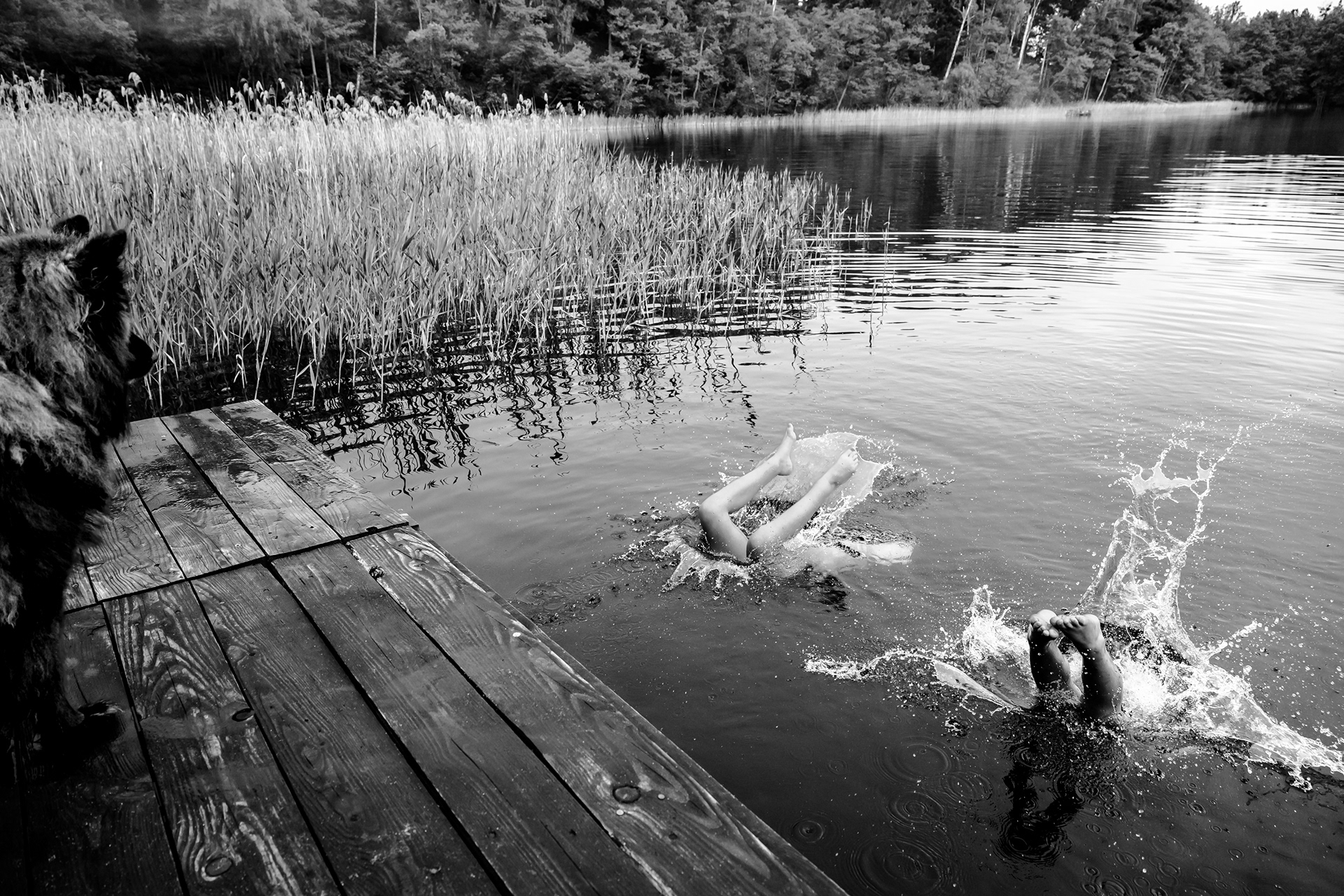 At the Lake 40