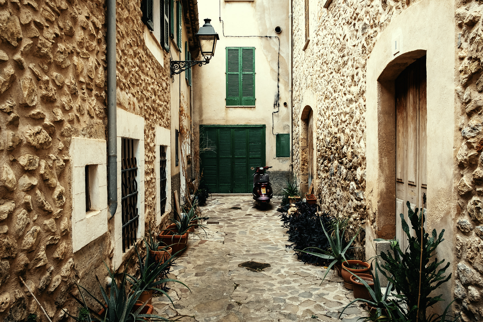 Winter in Mallorca Island 5