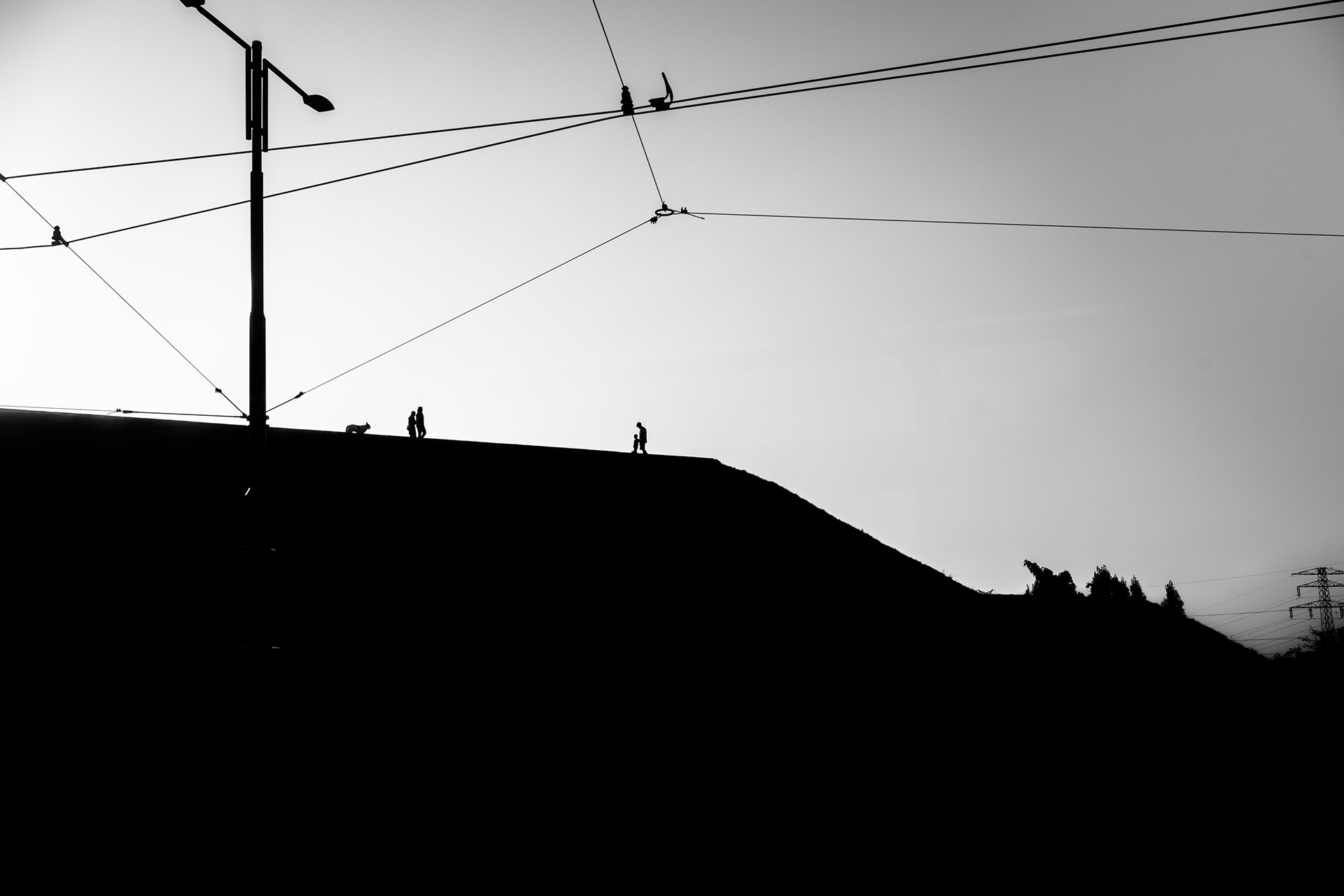 Street_2024 408