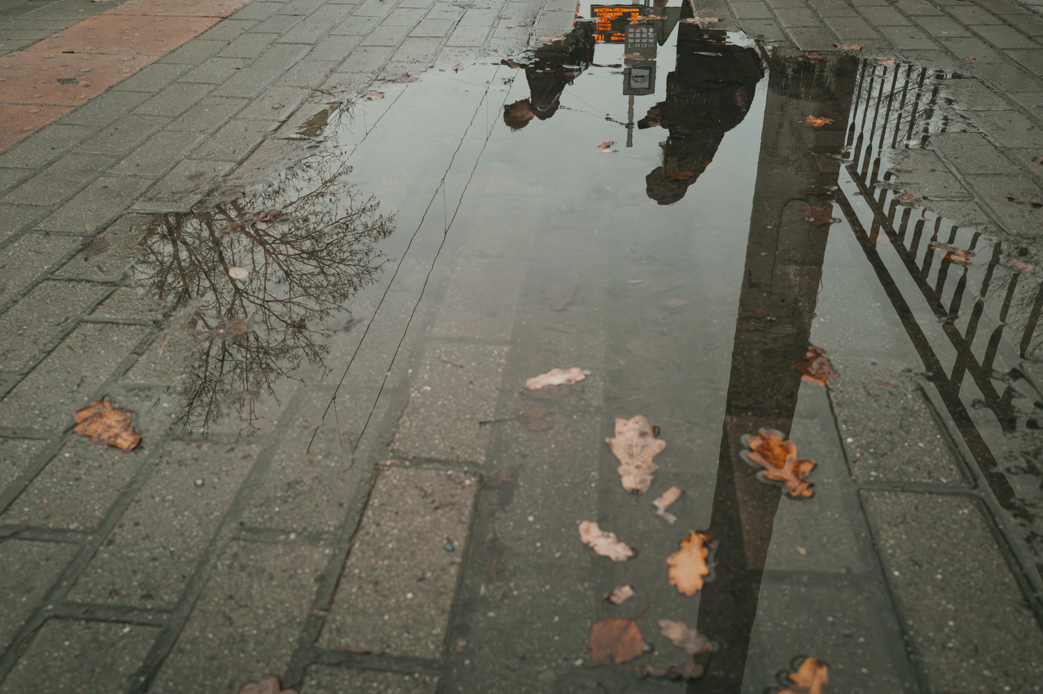 Reflections in water on the city pavement, from the project Urban Anatomy