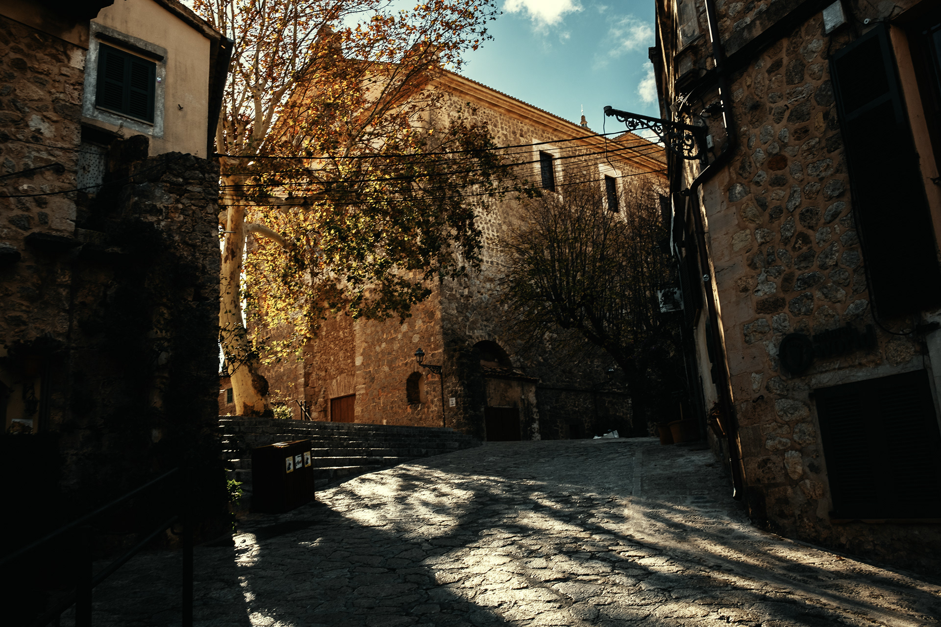 Winter in Mallorca Island 8