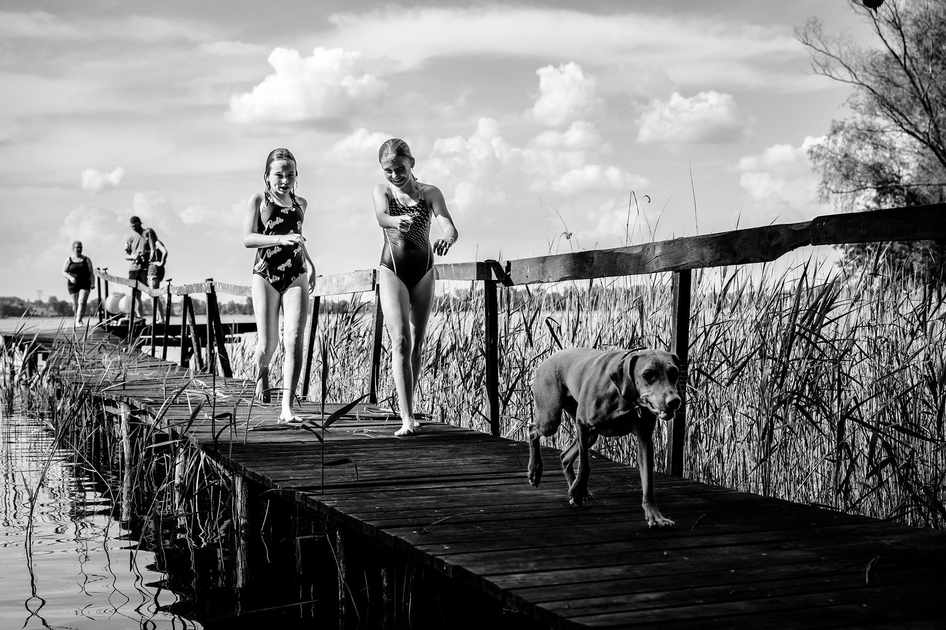 Street_2024 147