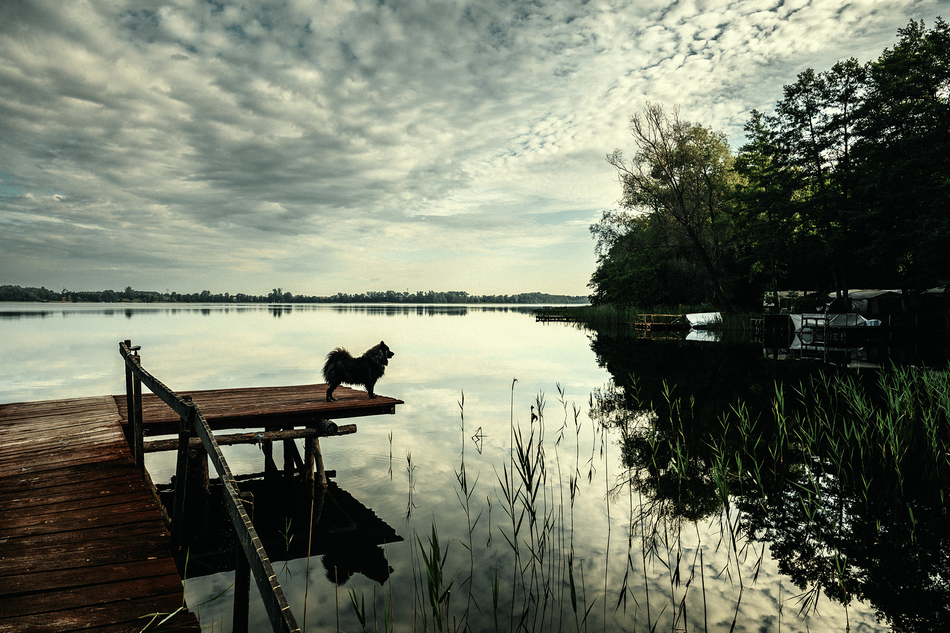 At the Lake 15
