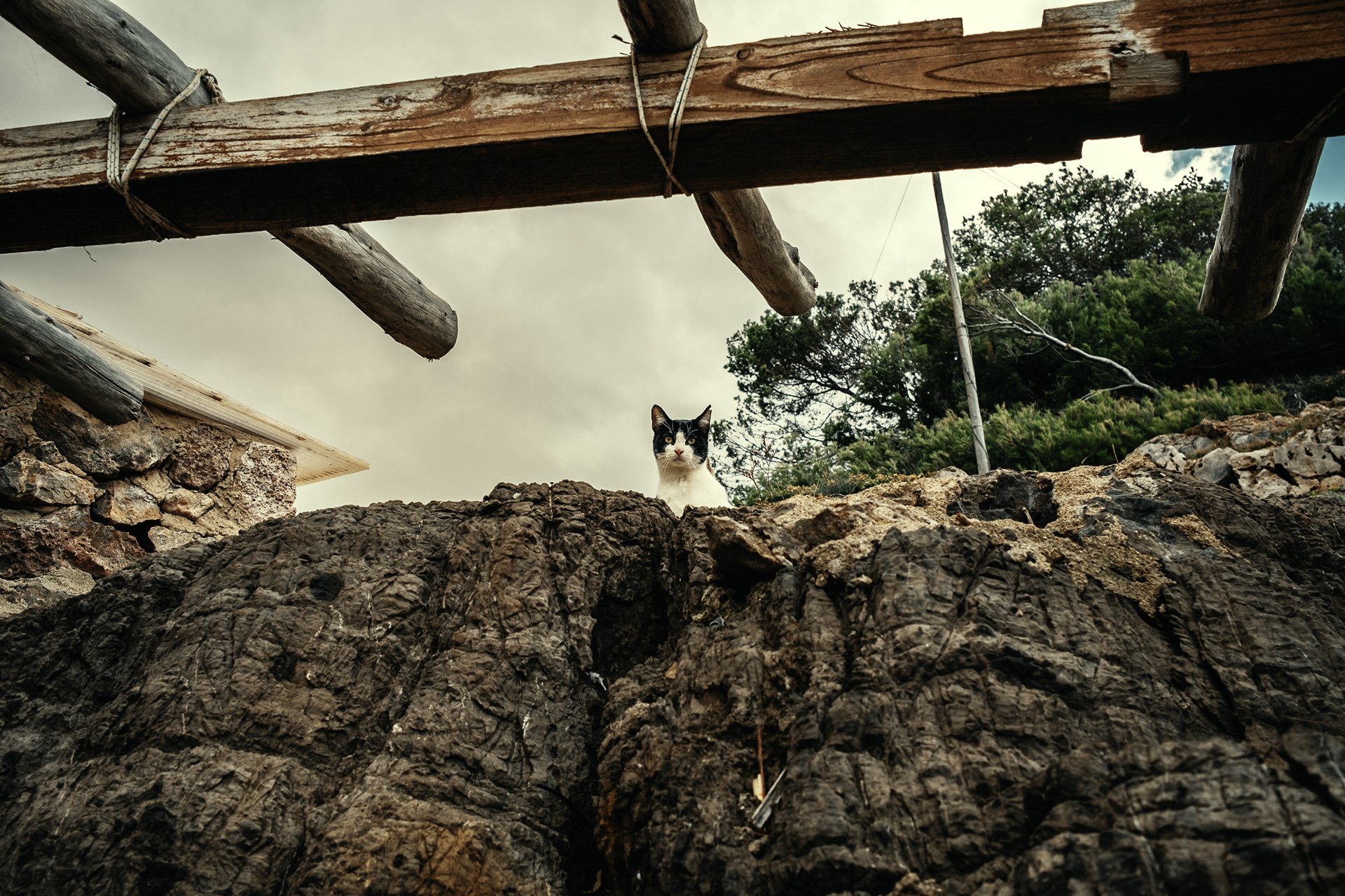 Winter in Mallorca Island 15