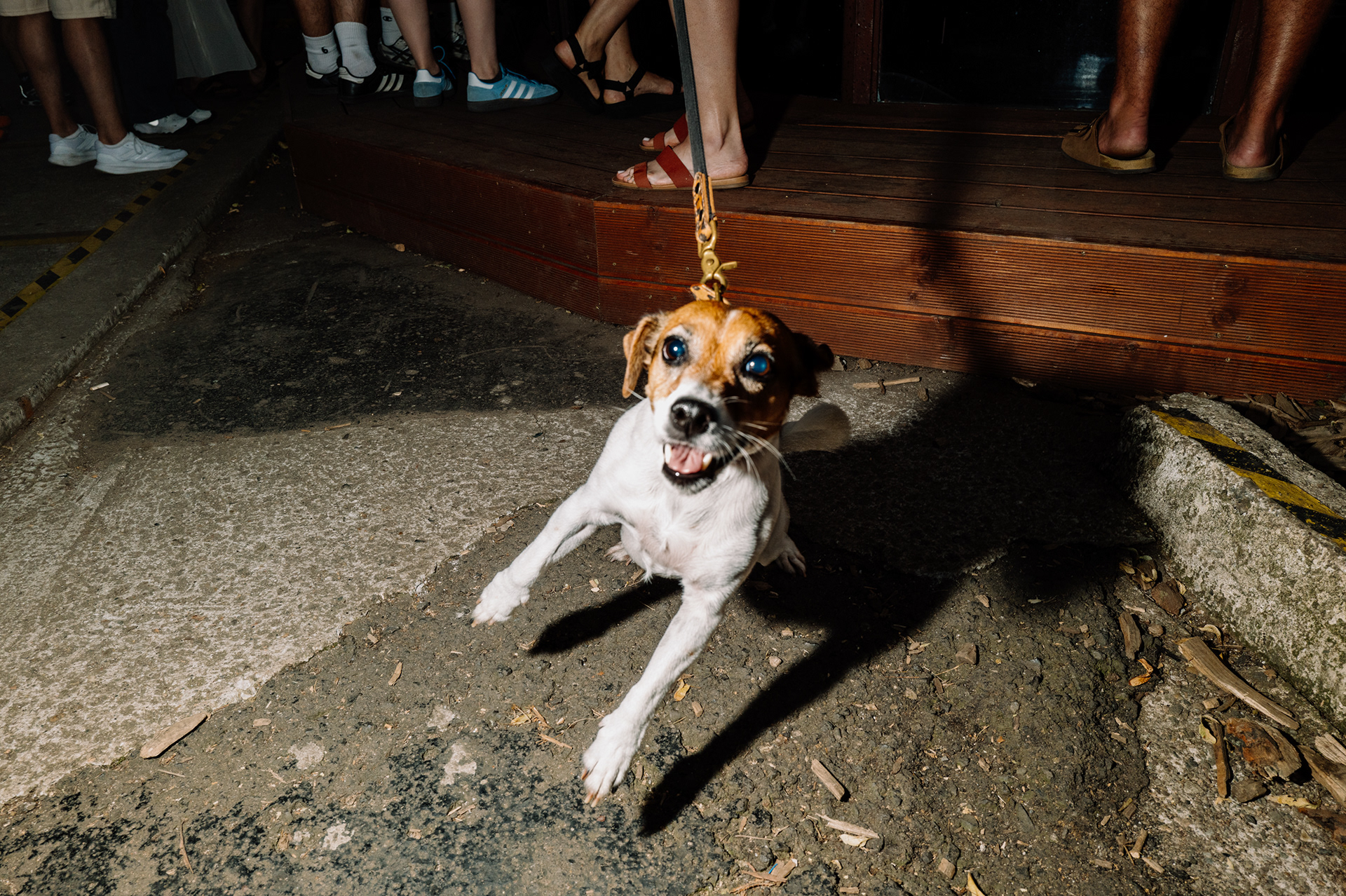 Street 2025_Wrocław