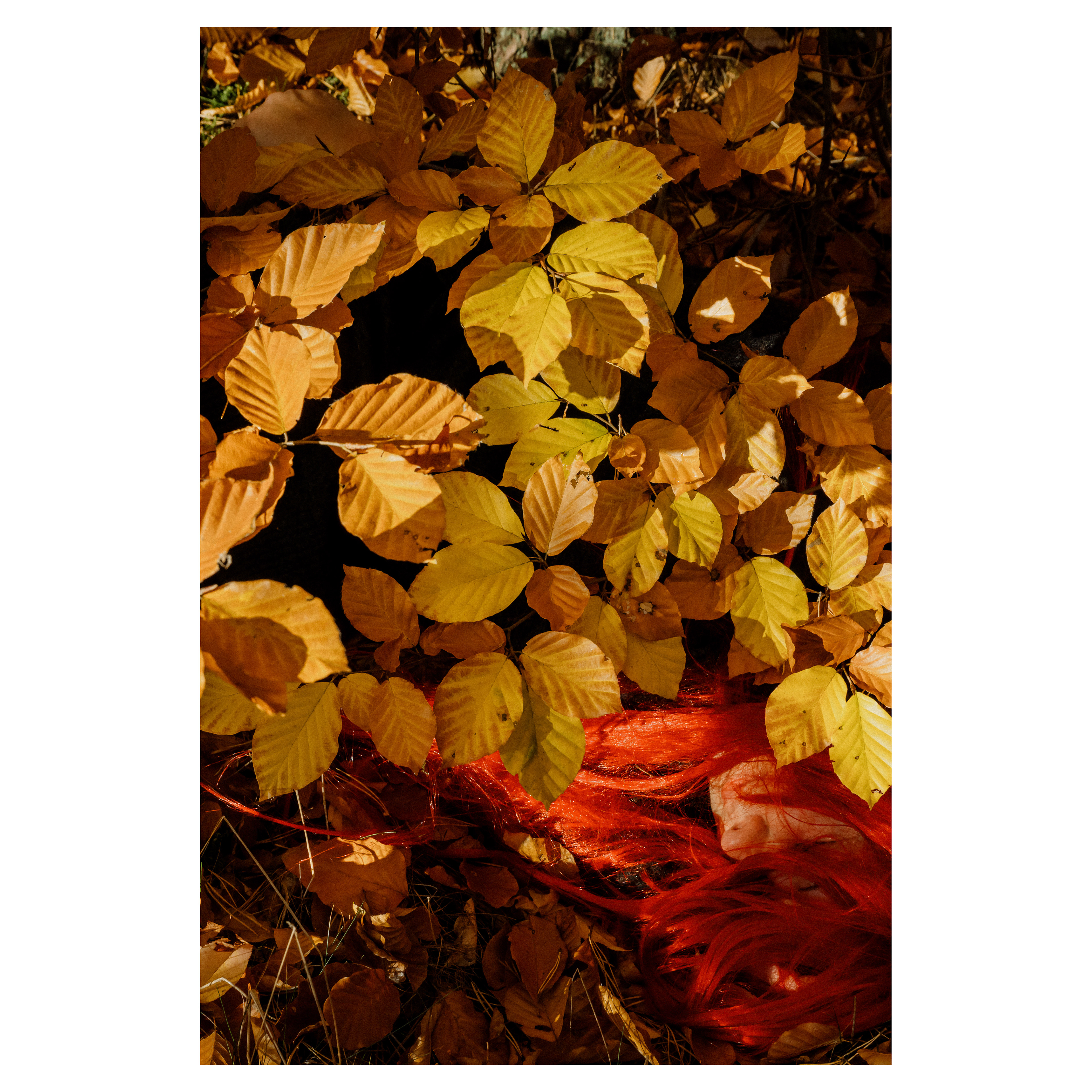 Buried Light - Seb Szczepanowski