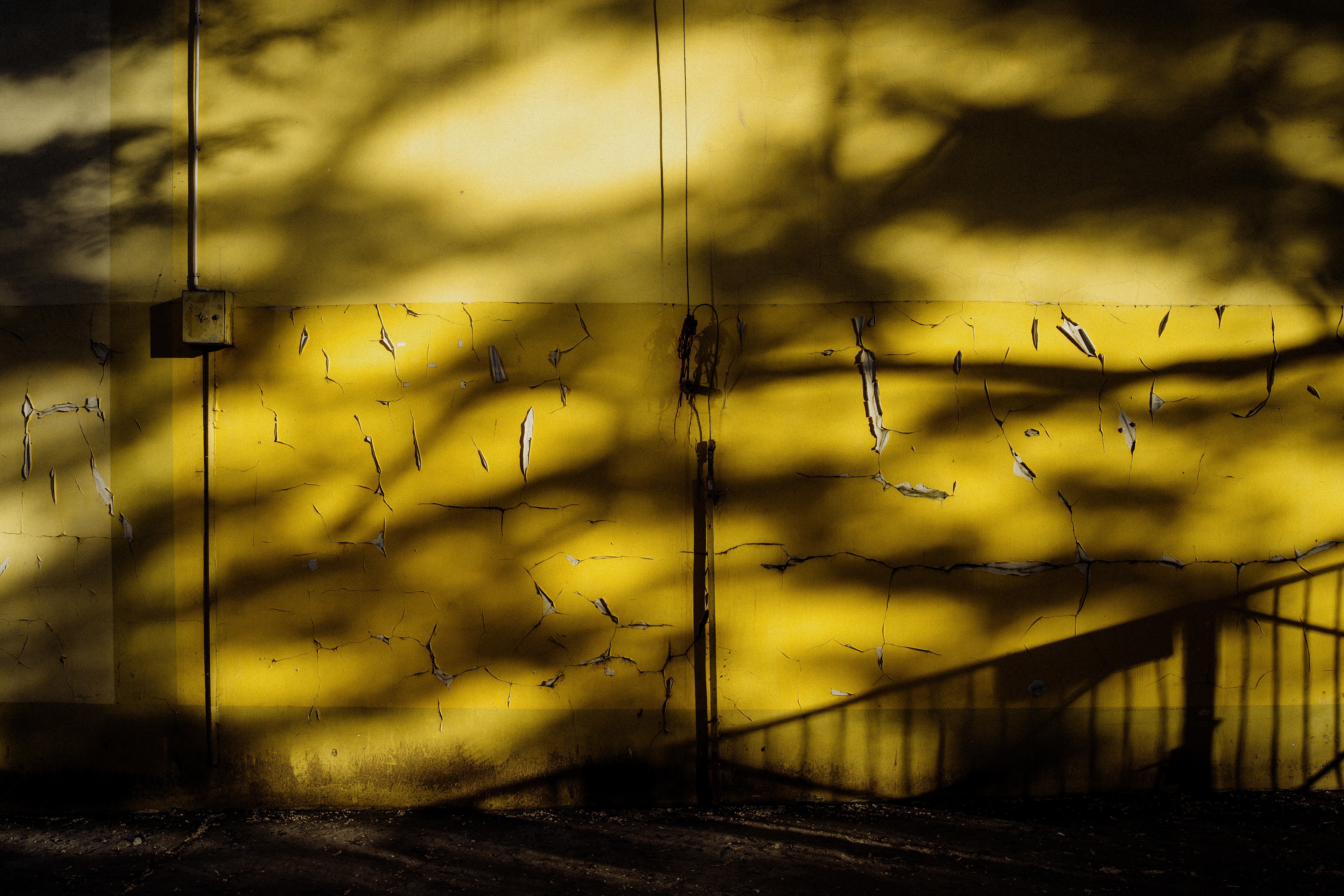Street_2024 131