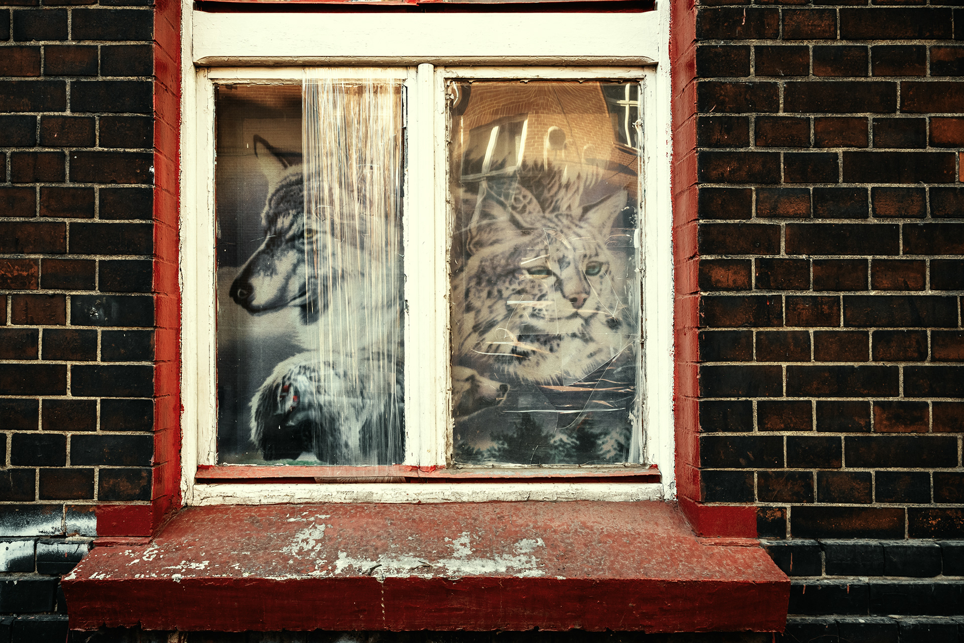 Street_2024 80