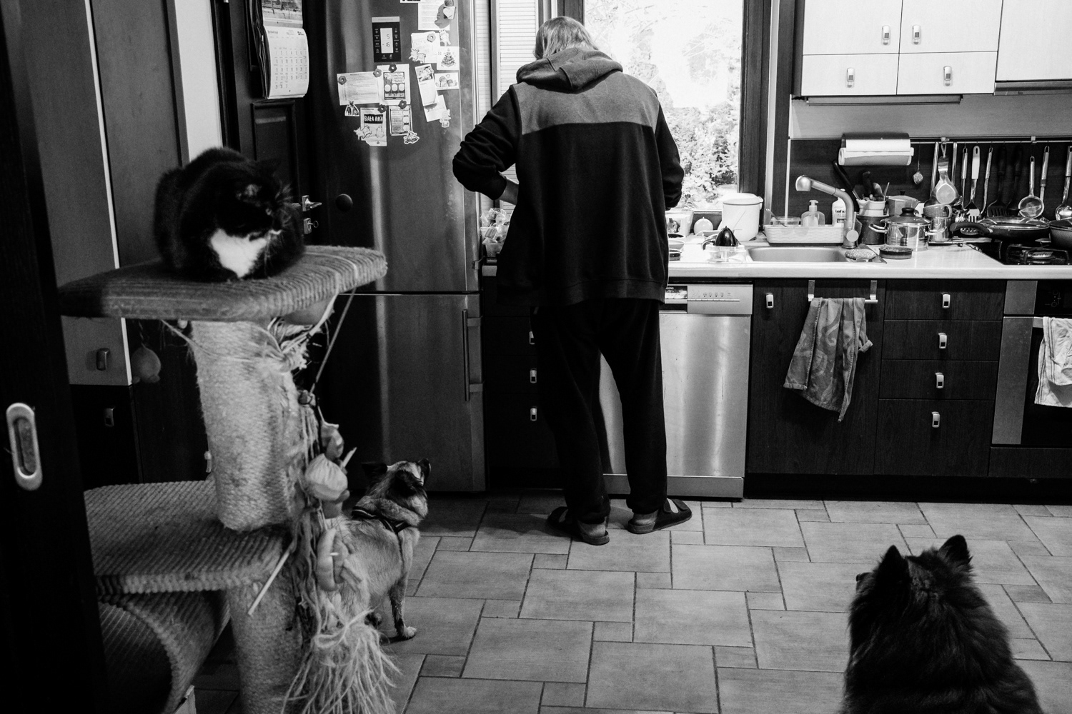 Family life in Wojtek’s home kitchen