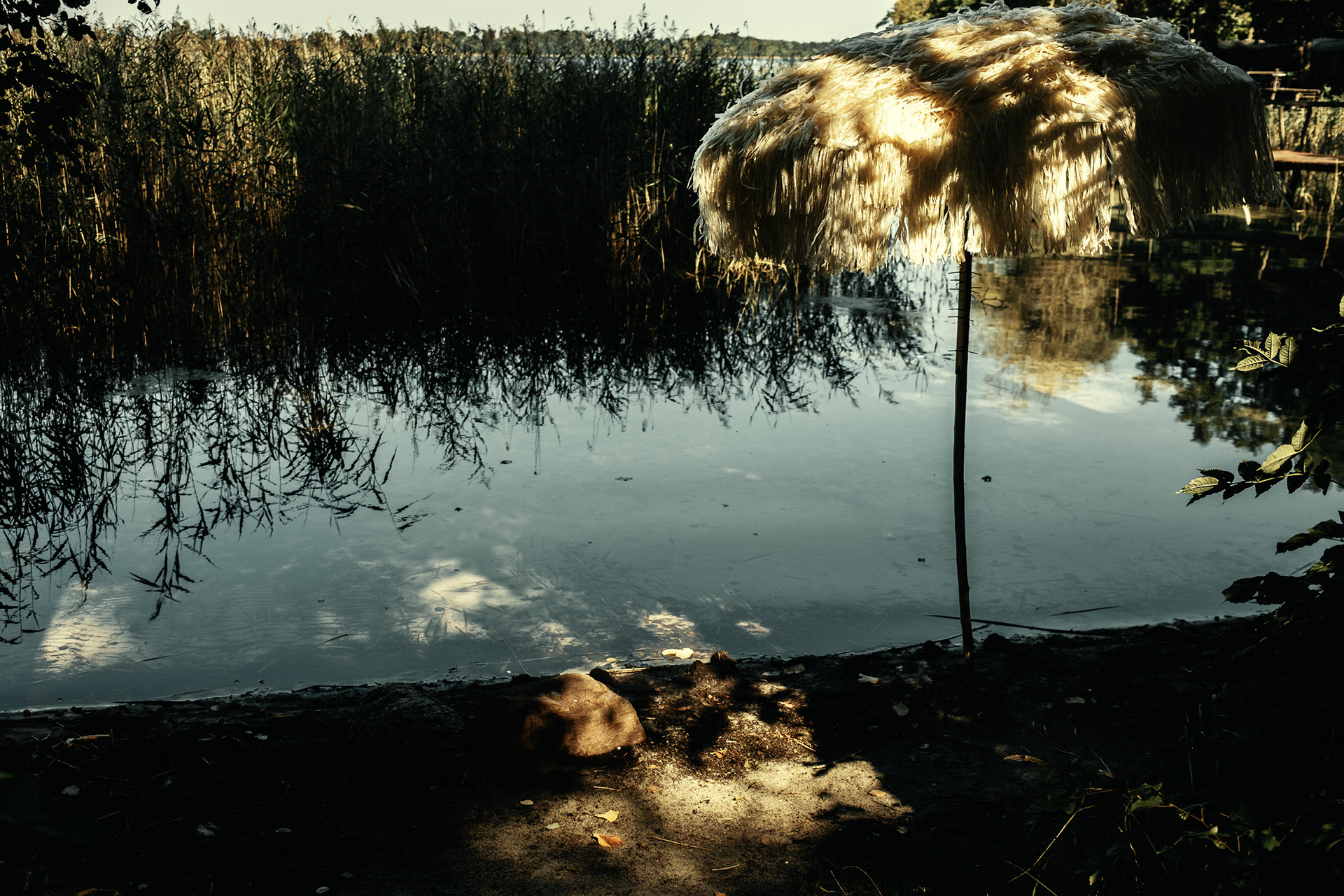 The Lake Camp 40