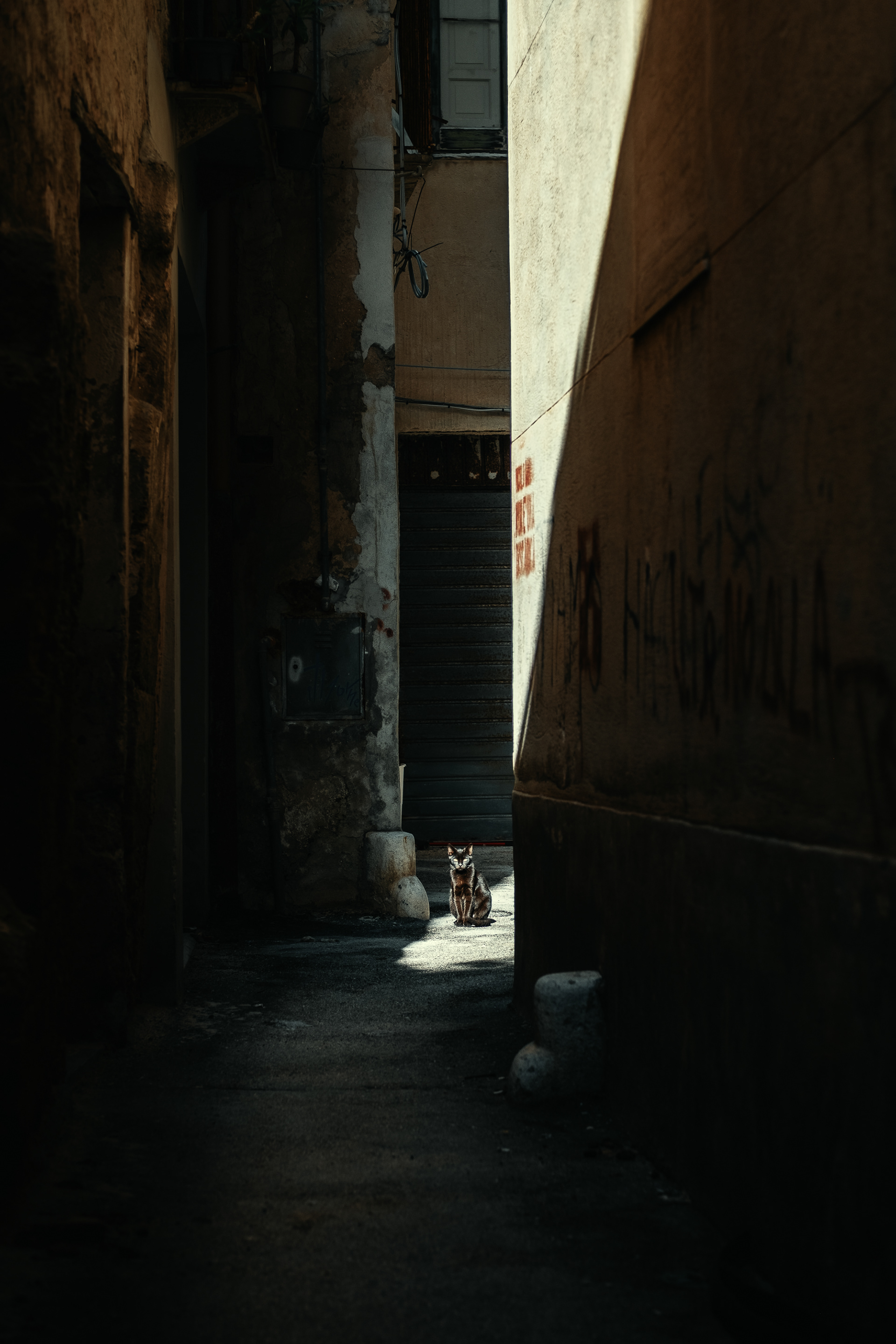 Street 21 21