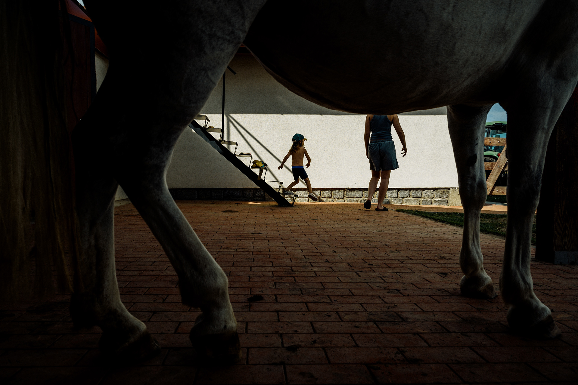 The Horse 019