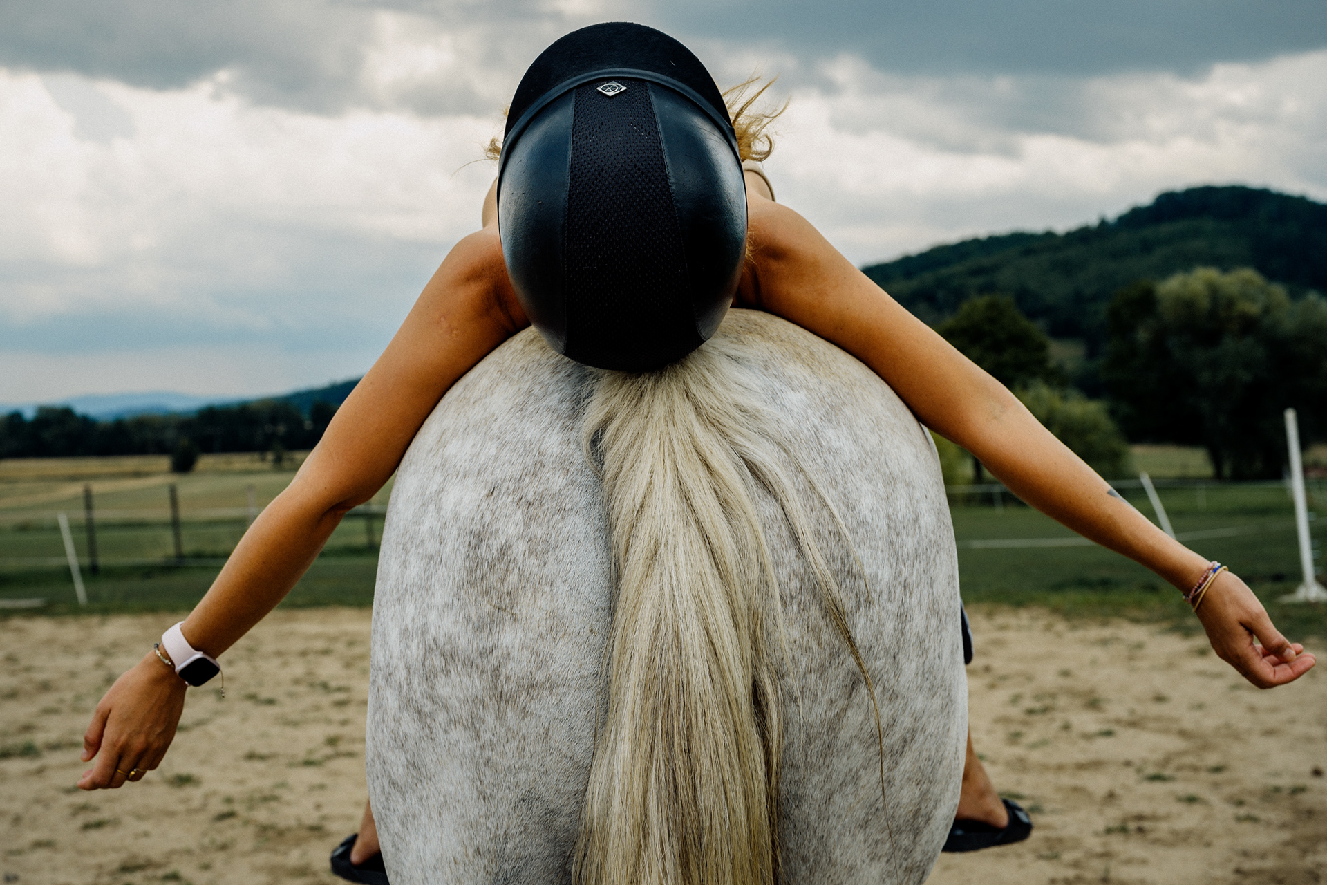 The Horse 013