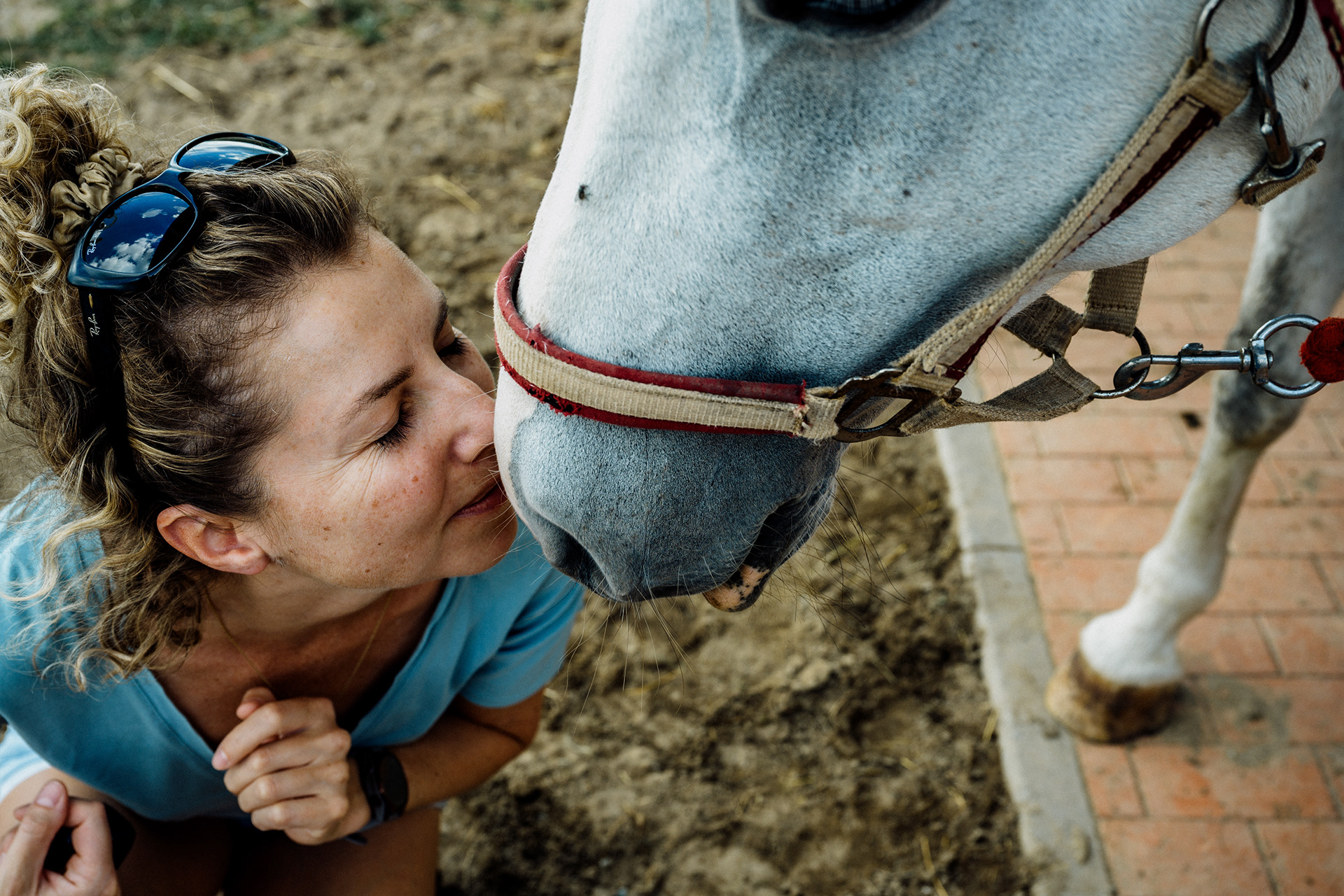 The Horse 005