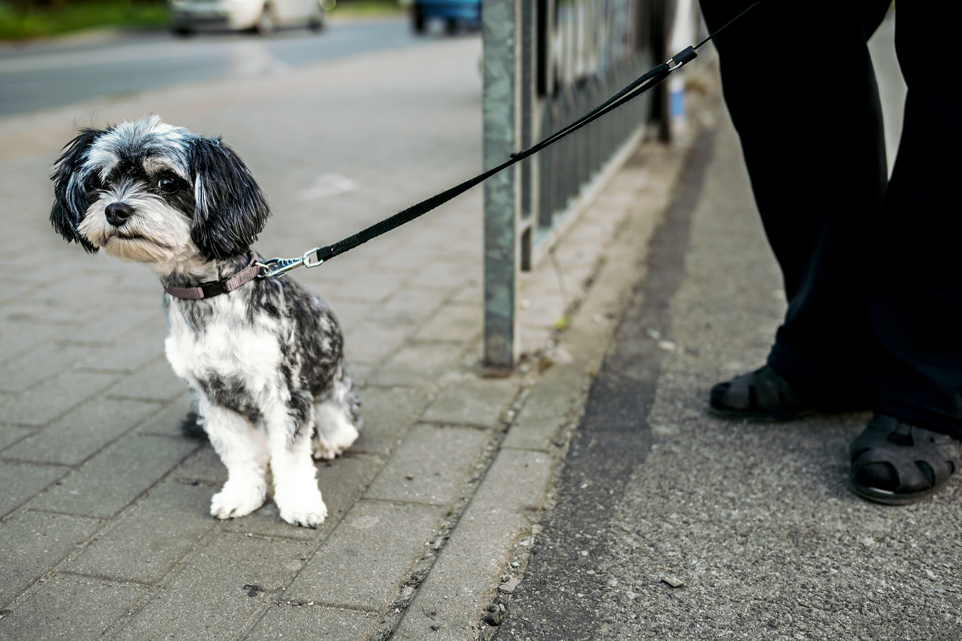 Street_2024 92