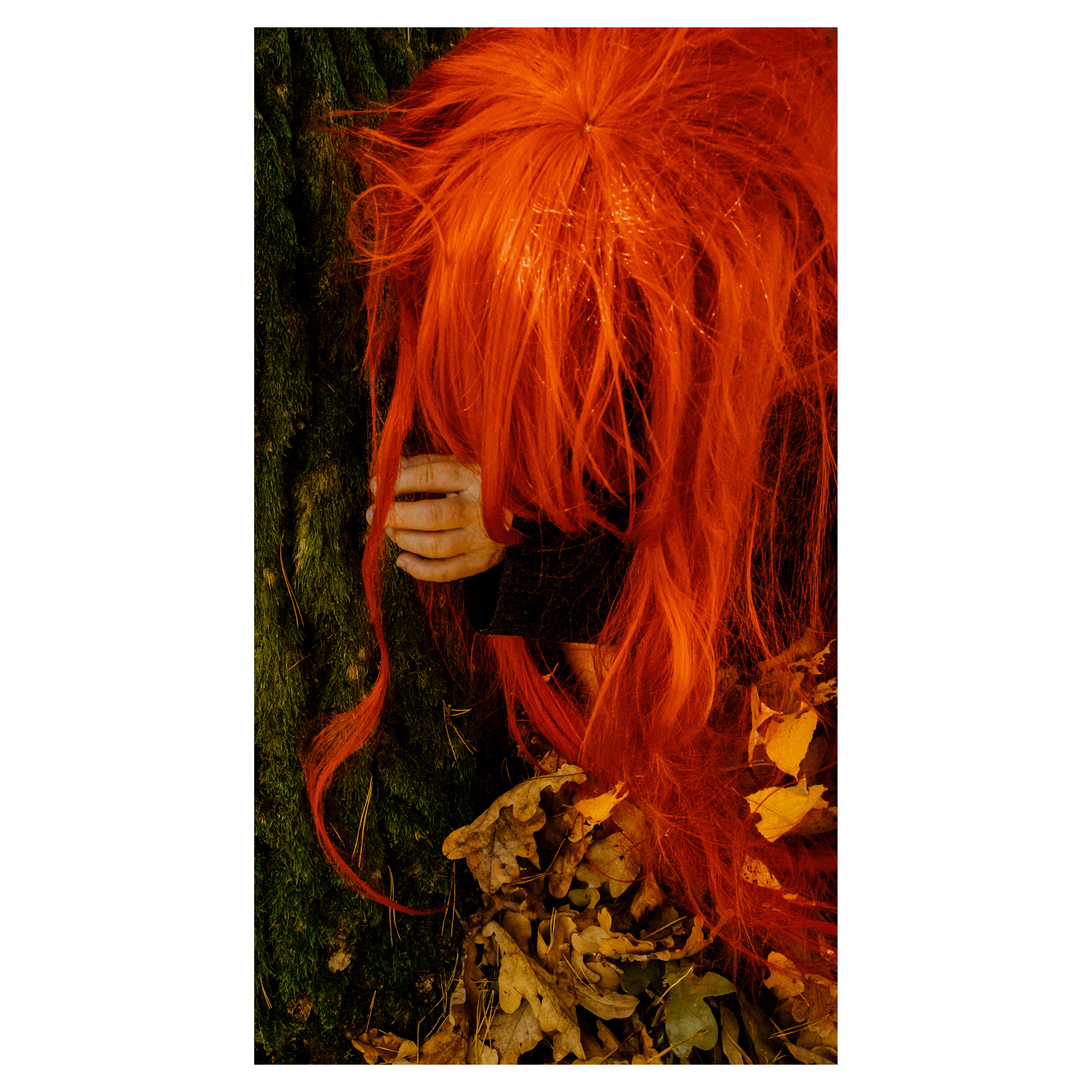 Rooted - Seb Szczepanowski