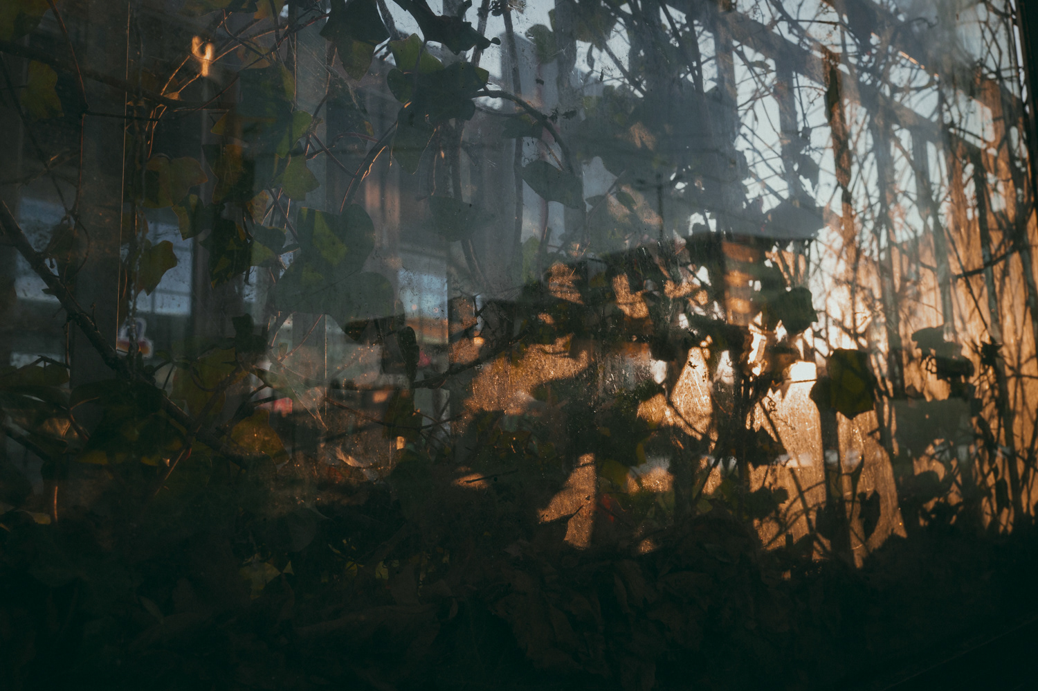 Breath in an urban space, from the project Urban Anatomy