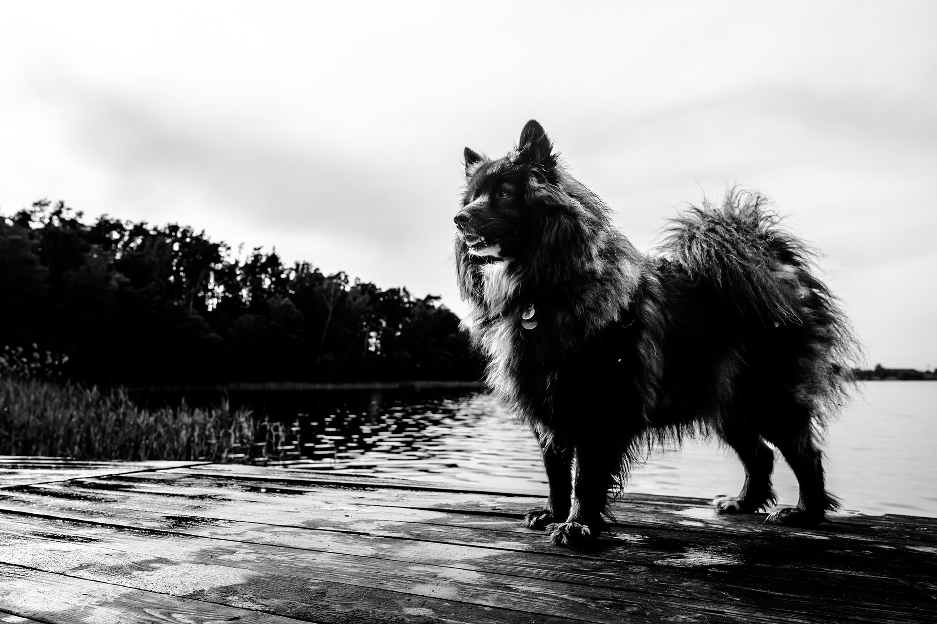 At the Lake 47