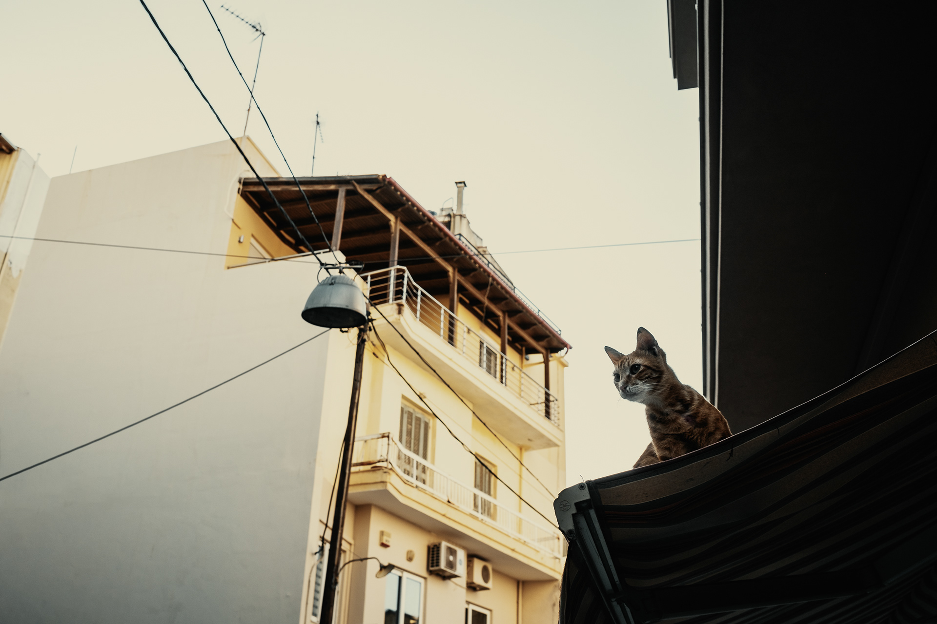 The Cretan Vibe 29