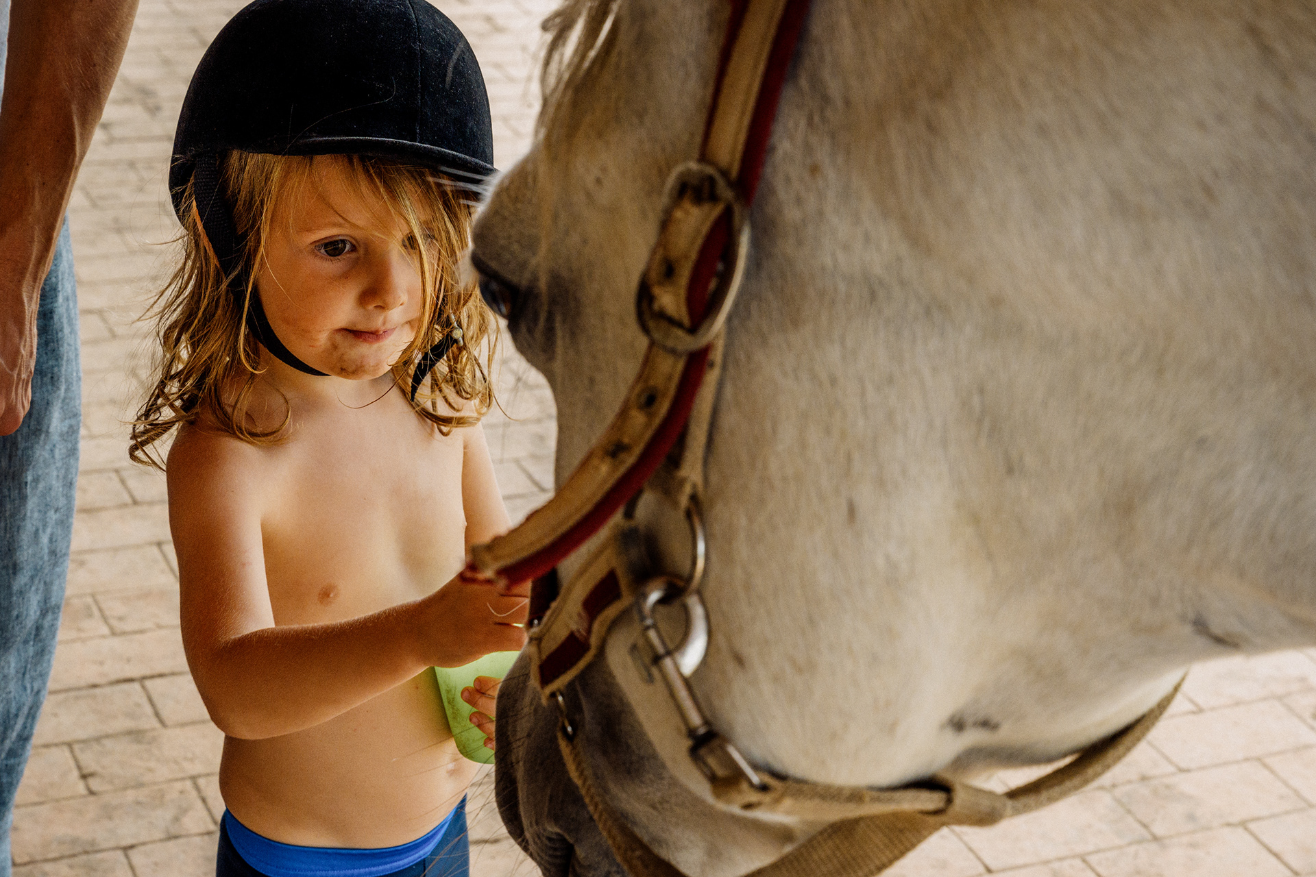 The Horse 010