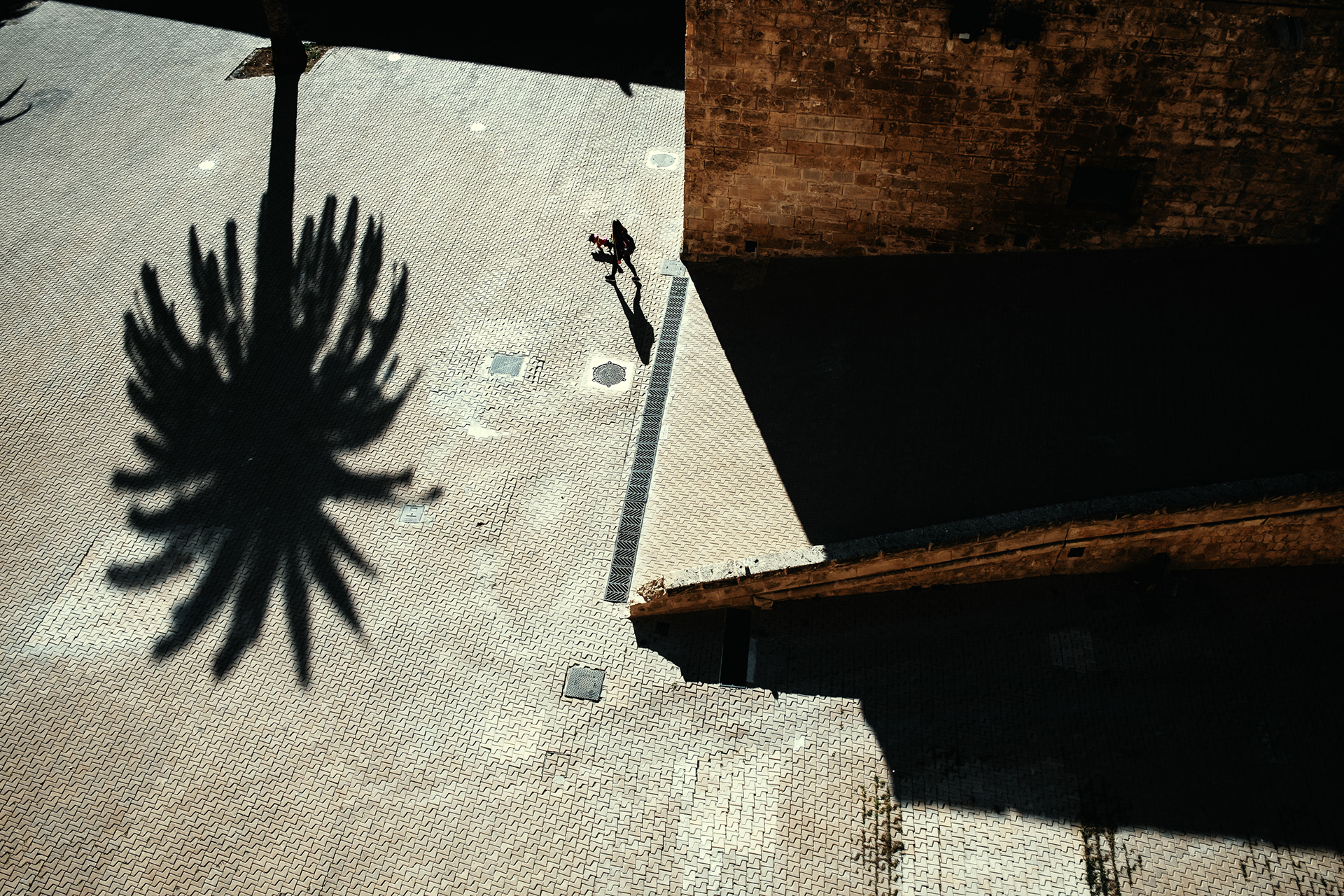 Winter in Mallorca Island 24