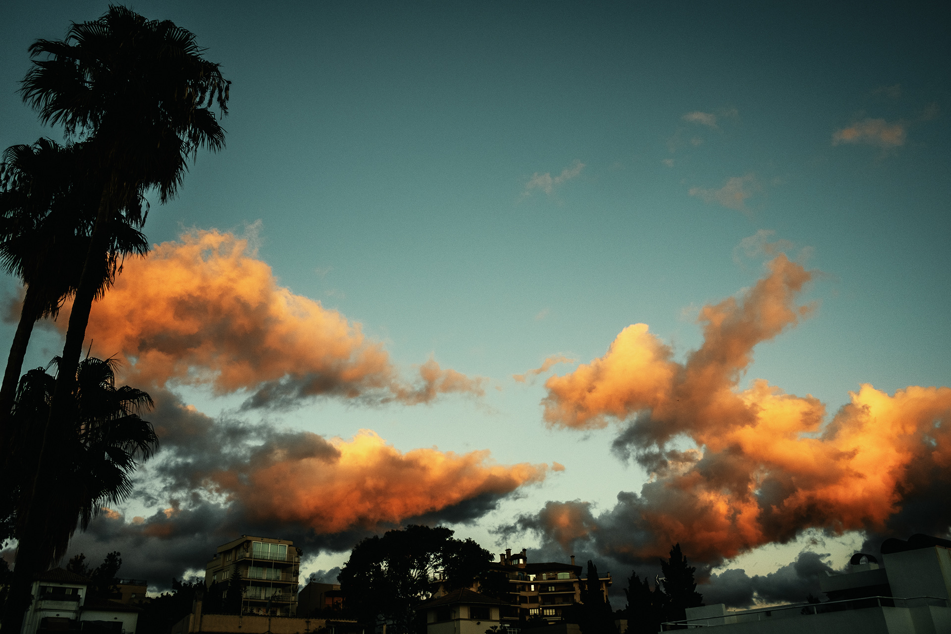 Winter in Mallorca Island 51