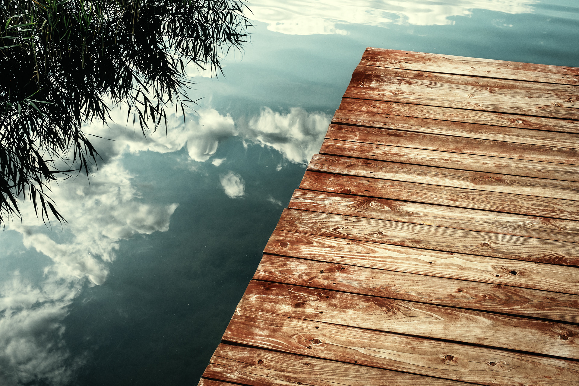 The Lake Camp 5