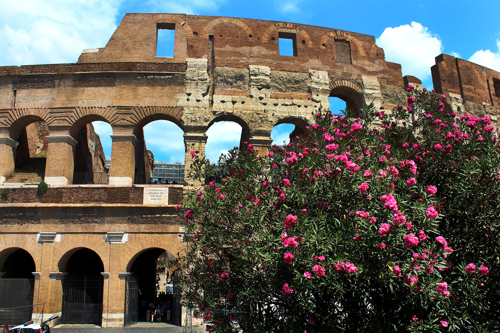 Flowers in Battle - Rome, Italy