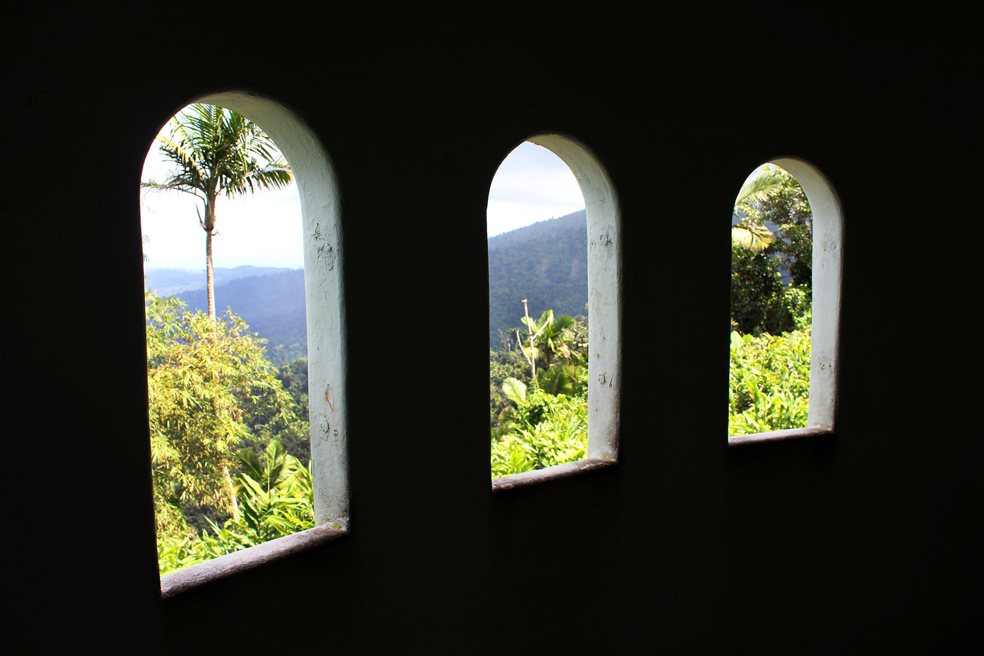 Tropical Glimpse - El Yunque, Puerto Rico