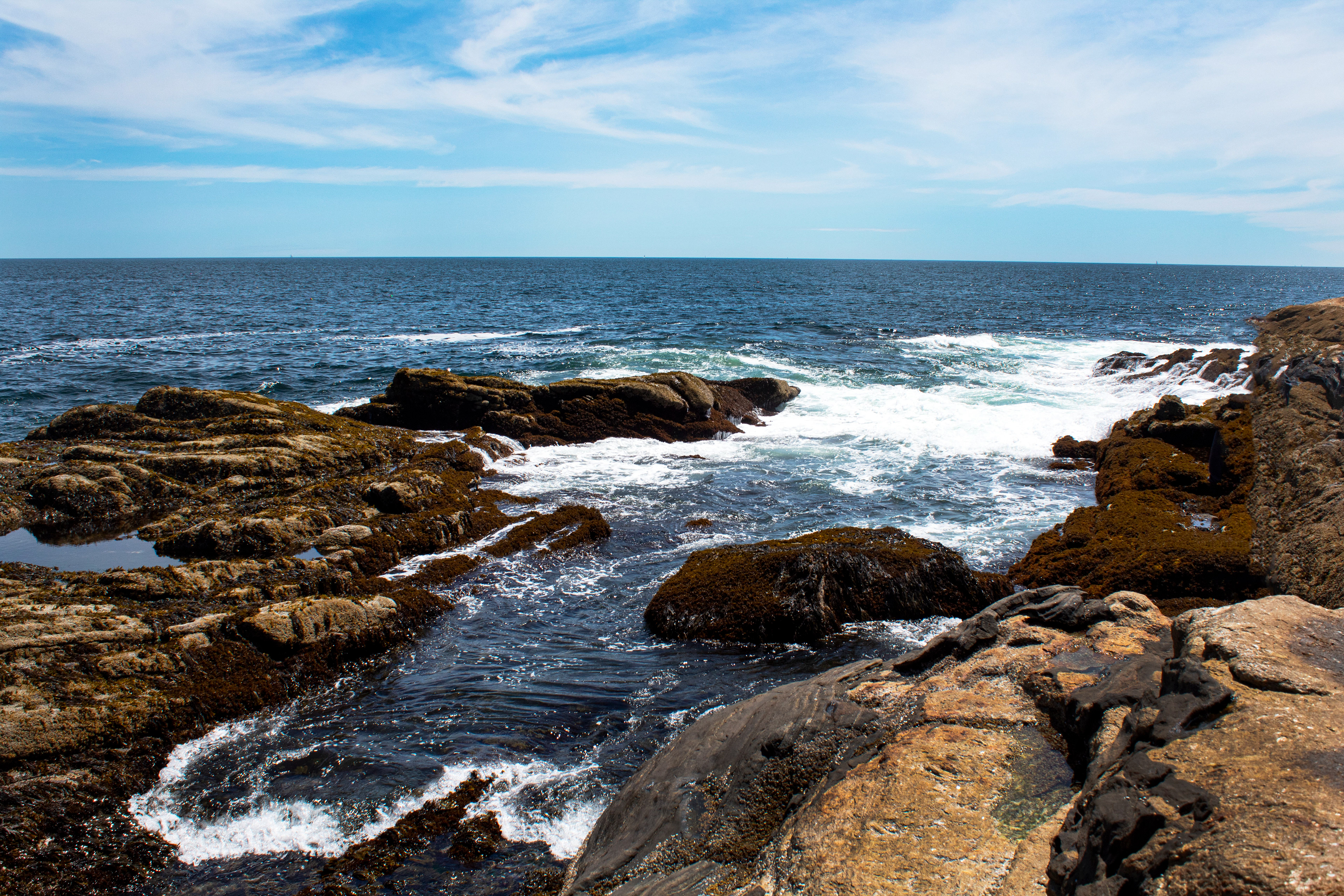 Maine Waves - Bristol, ME