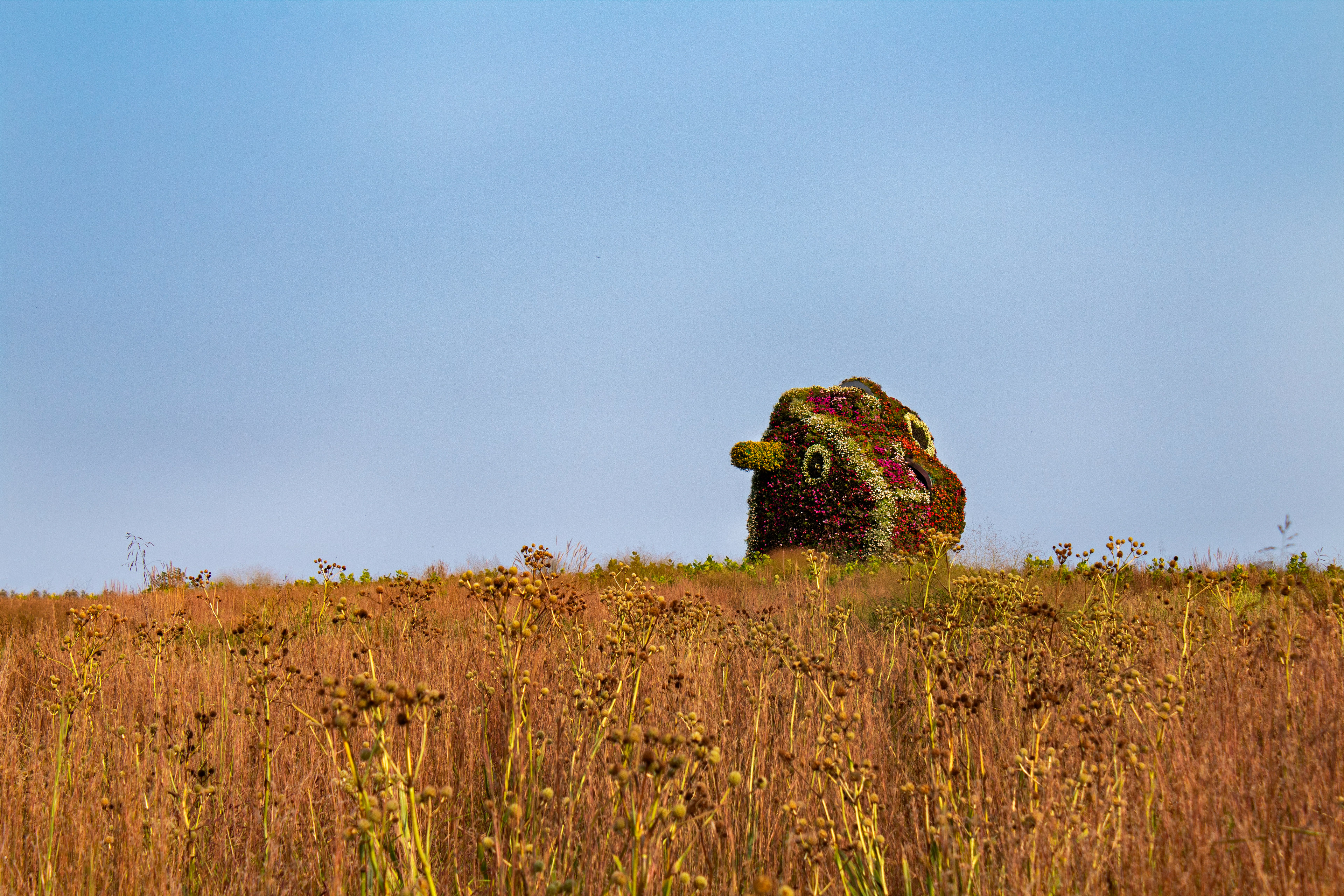 The Split-Rocker - Glenstone Gardens (Travilah, MD)