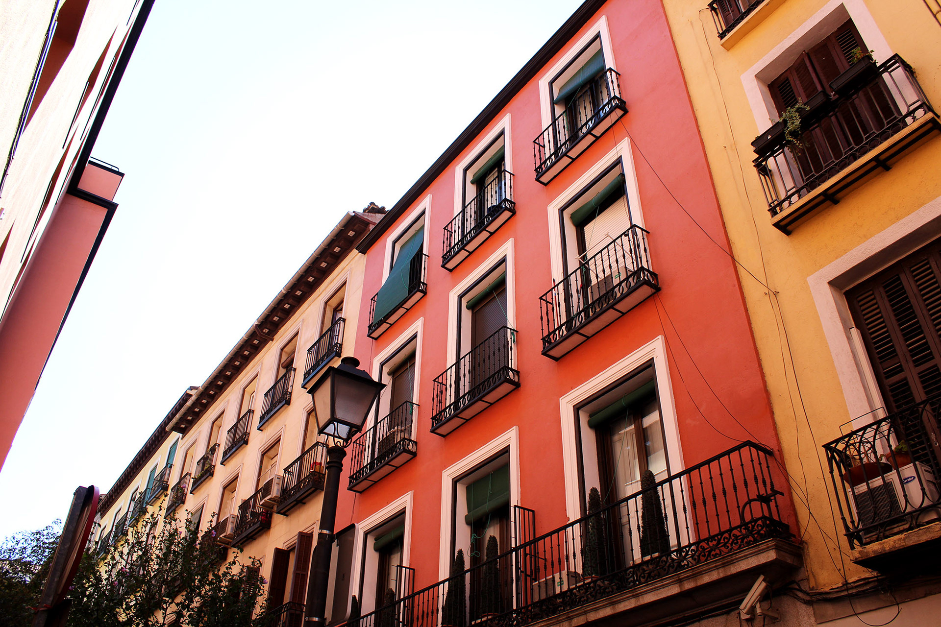 Summer in Madrid - Madrid, Spain