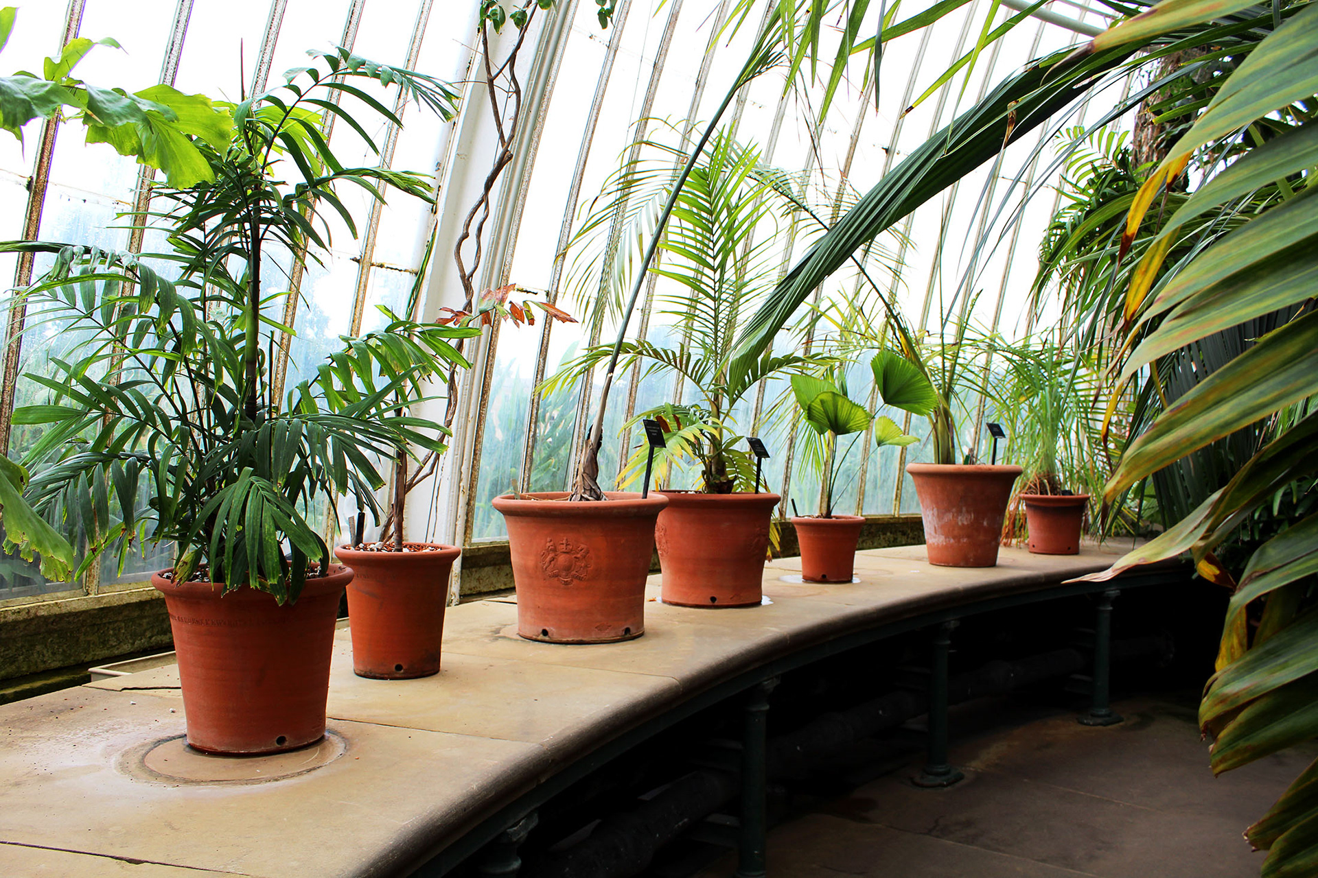 Potted Paradise - Kew Gardens (England)
