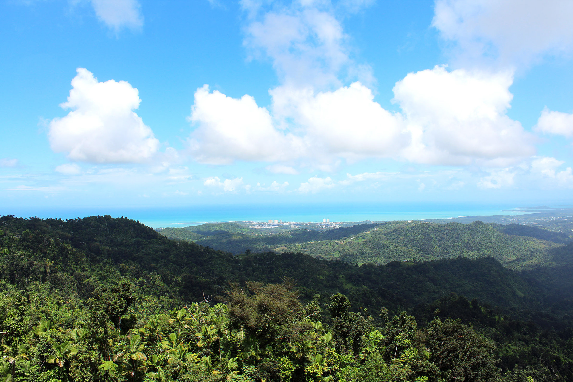 Up in the Clouds - El Yunque, Puerto Rico