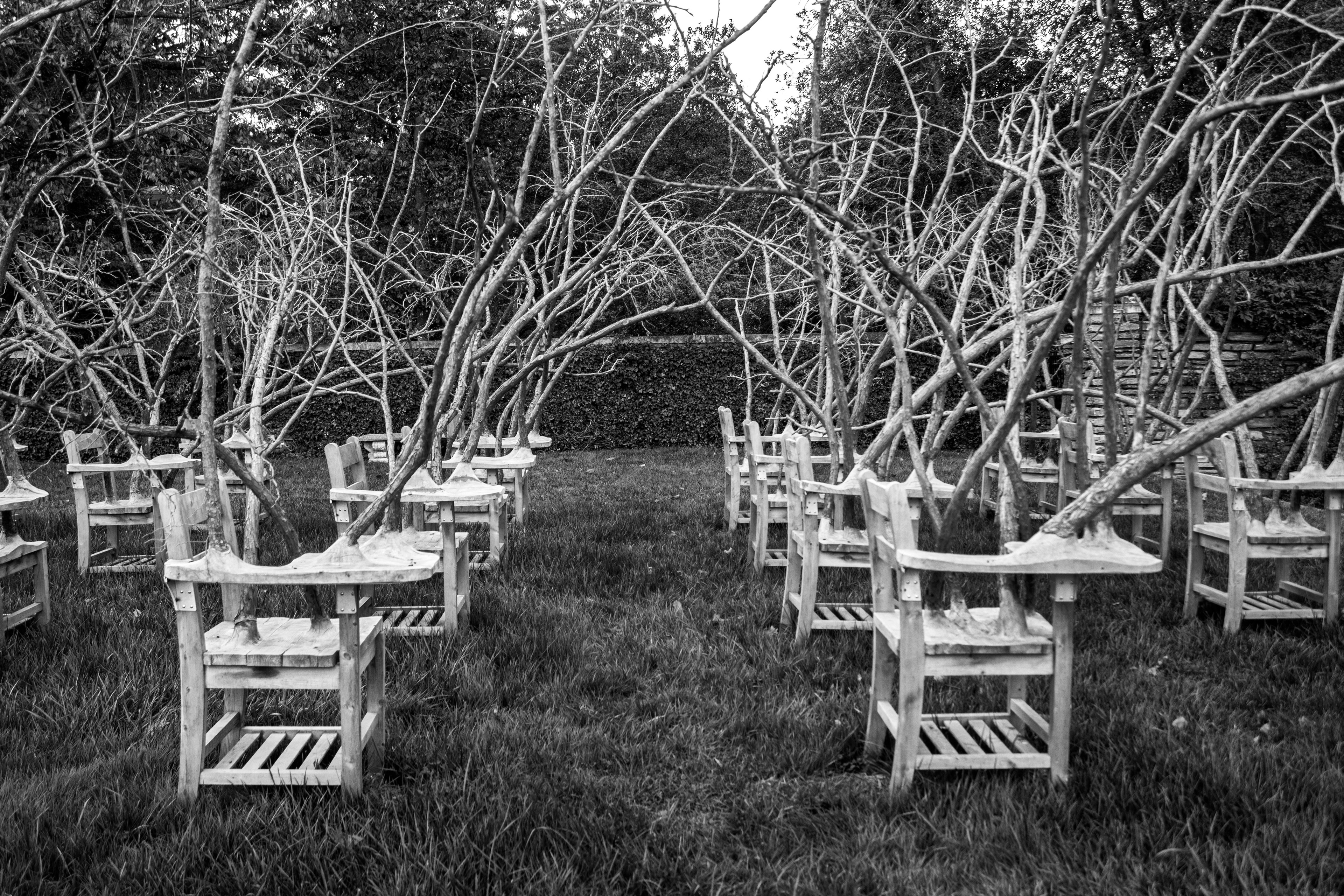 Nature's Classroom - Dumbarton Oaks (Washington D.C.)